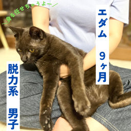 thumb-1