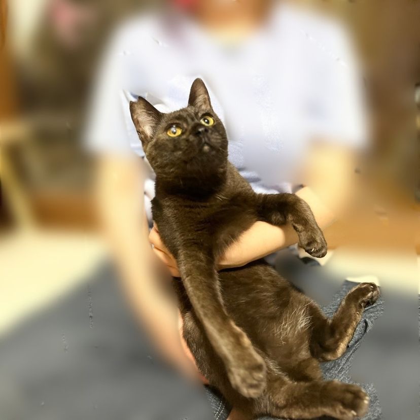 image-3