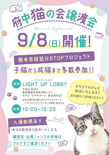 ギャップ