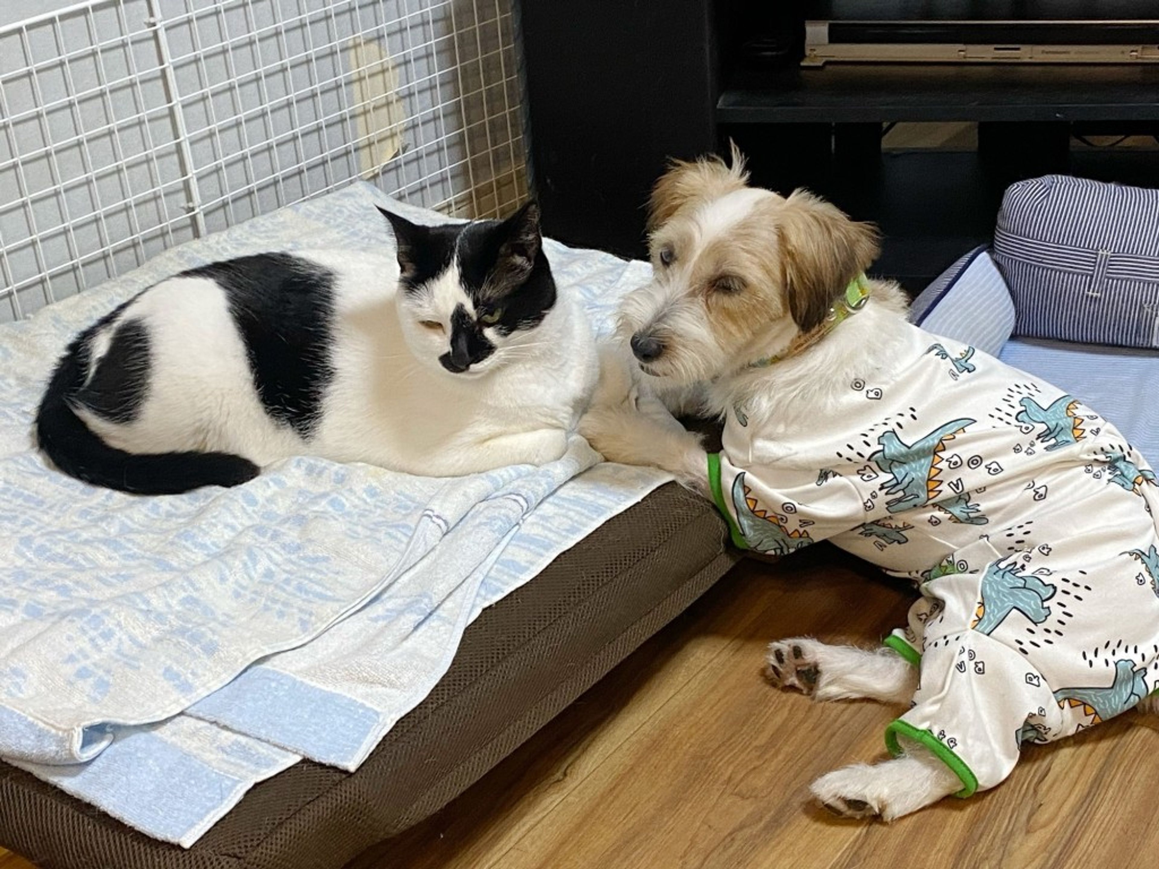 image-8