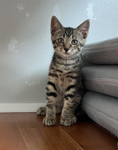 ジンくんの写真