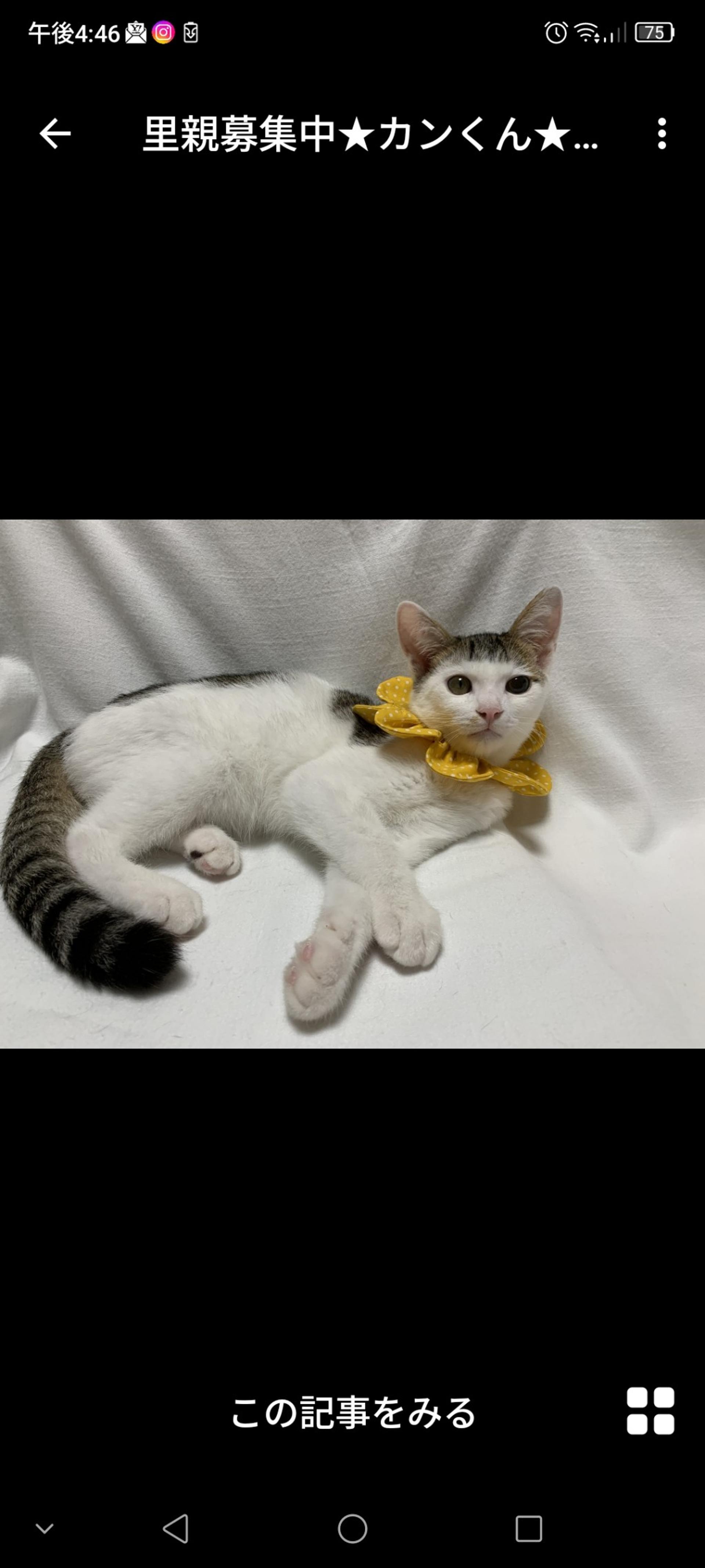 pet-image-3