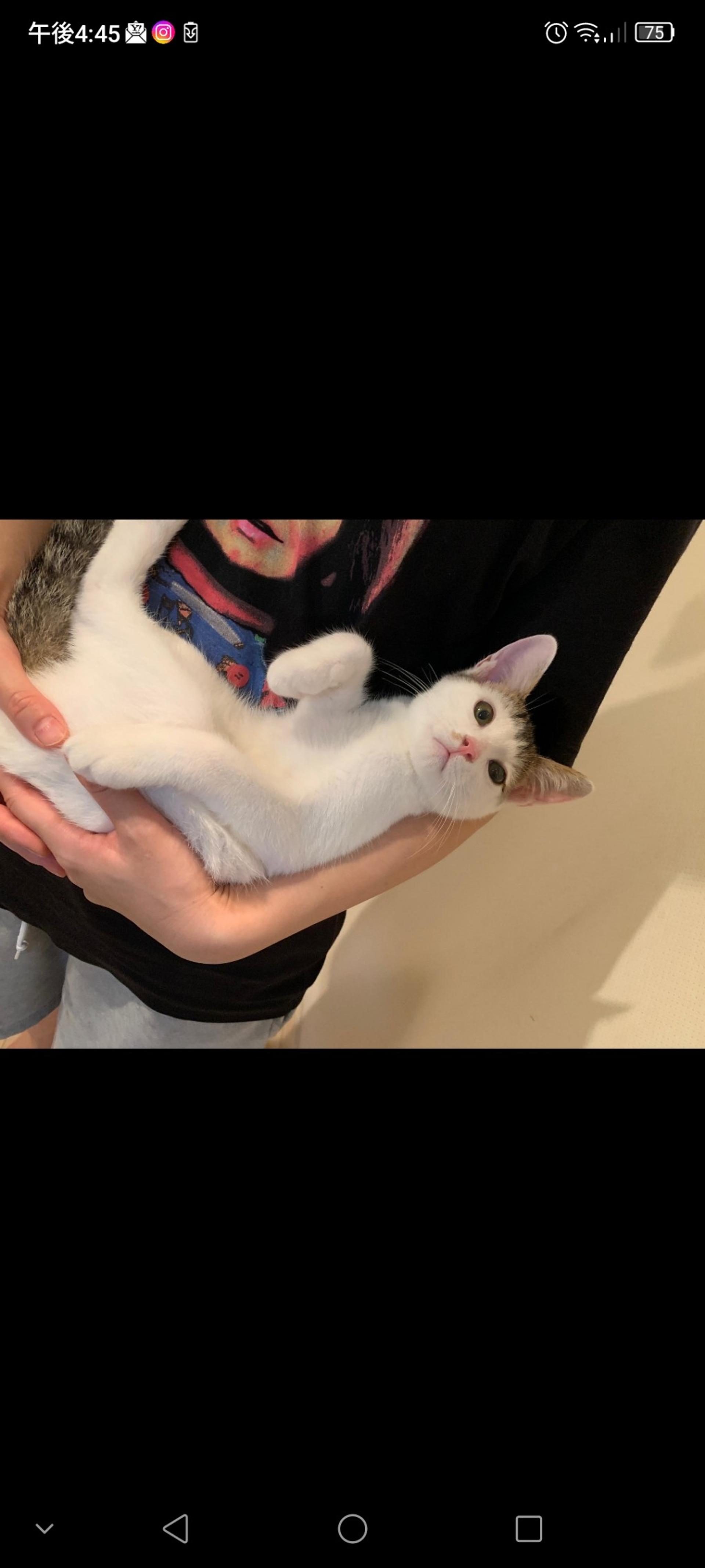 pet-image-2