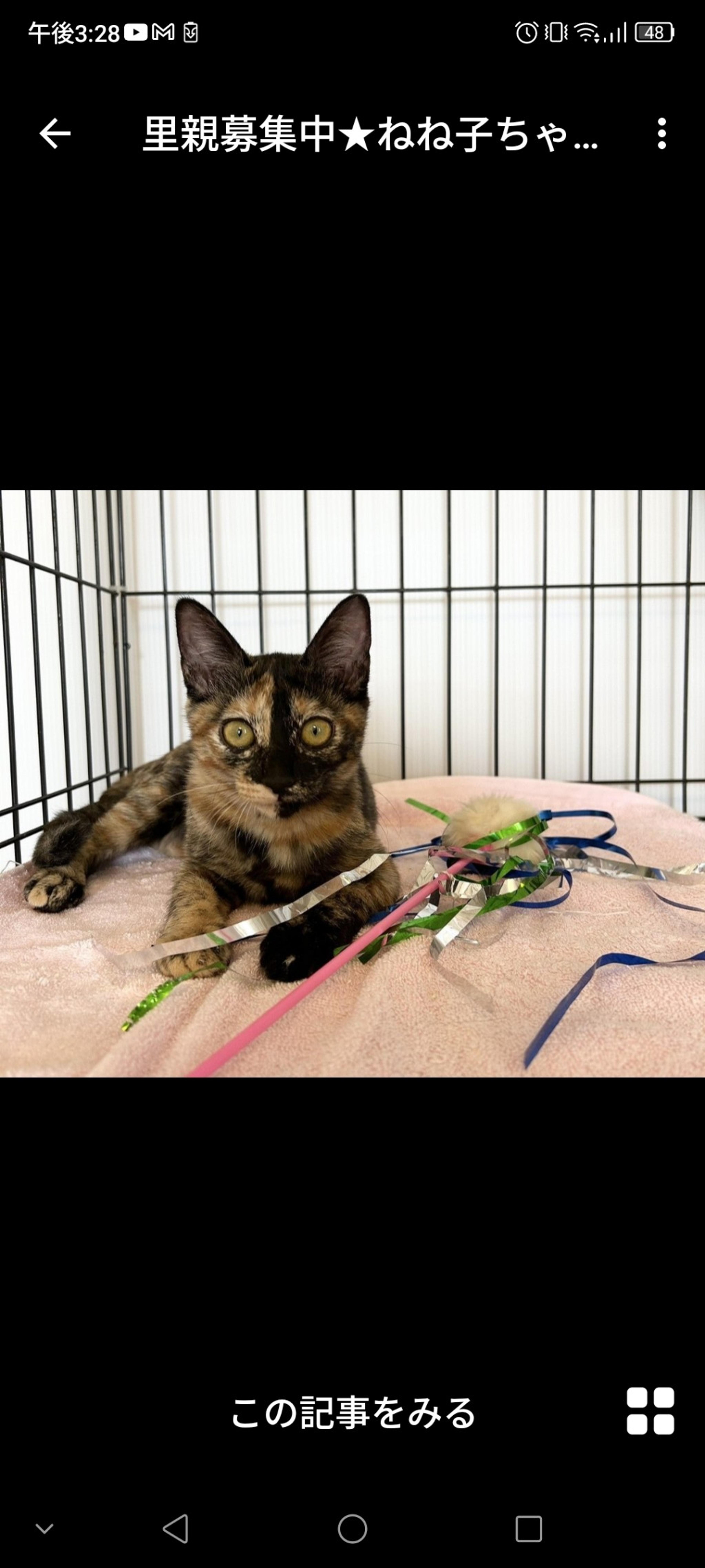 pet-image-2