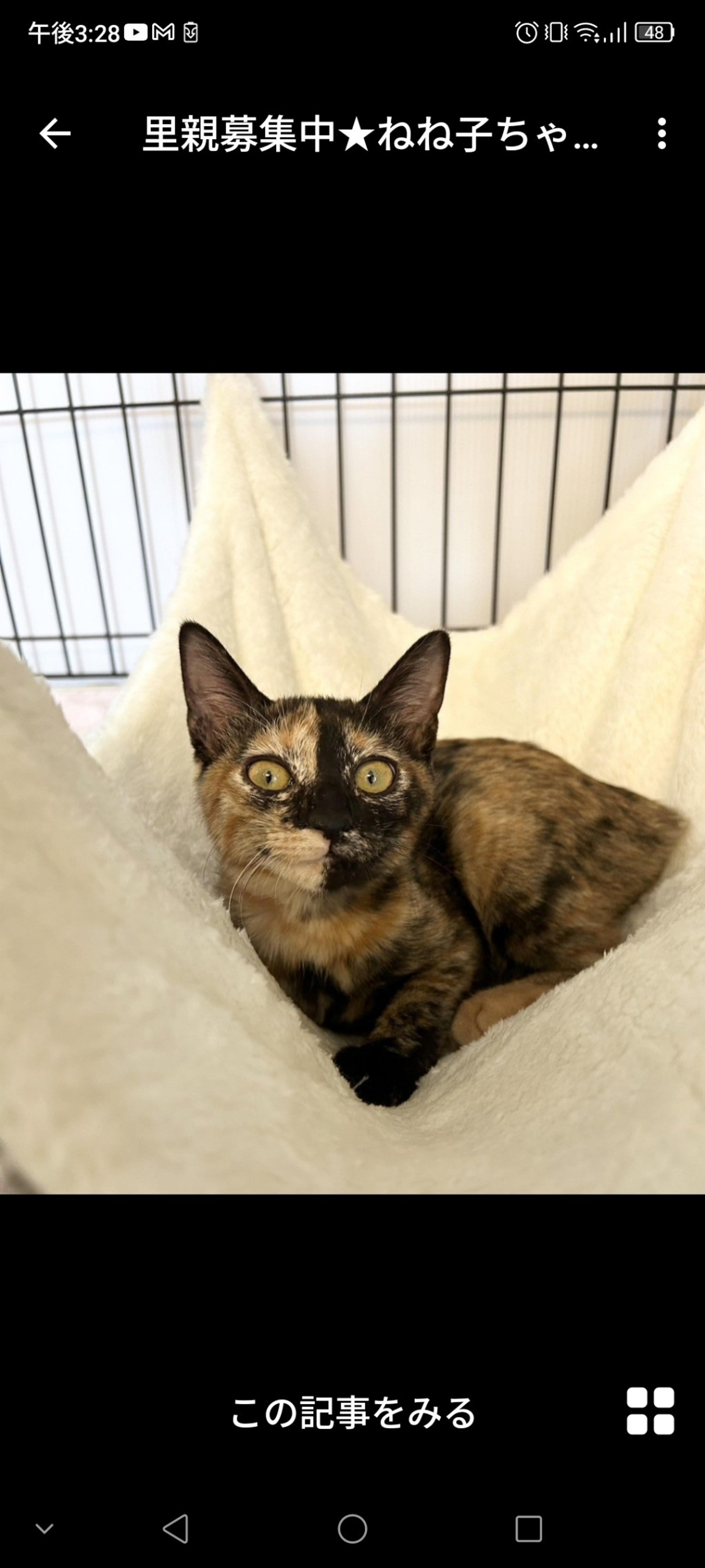 pet-image-3