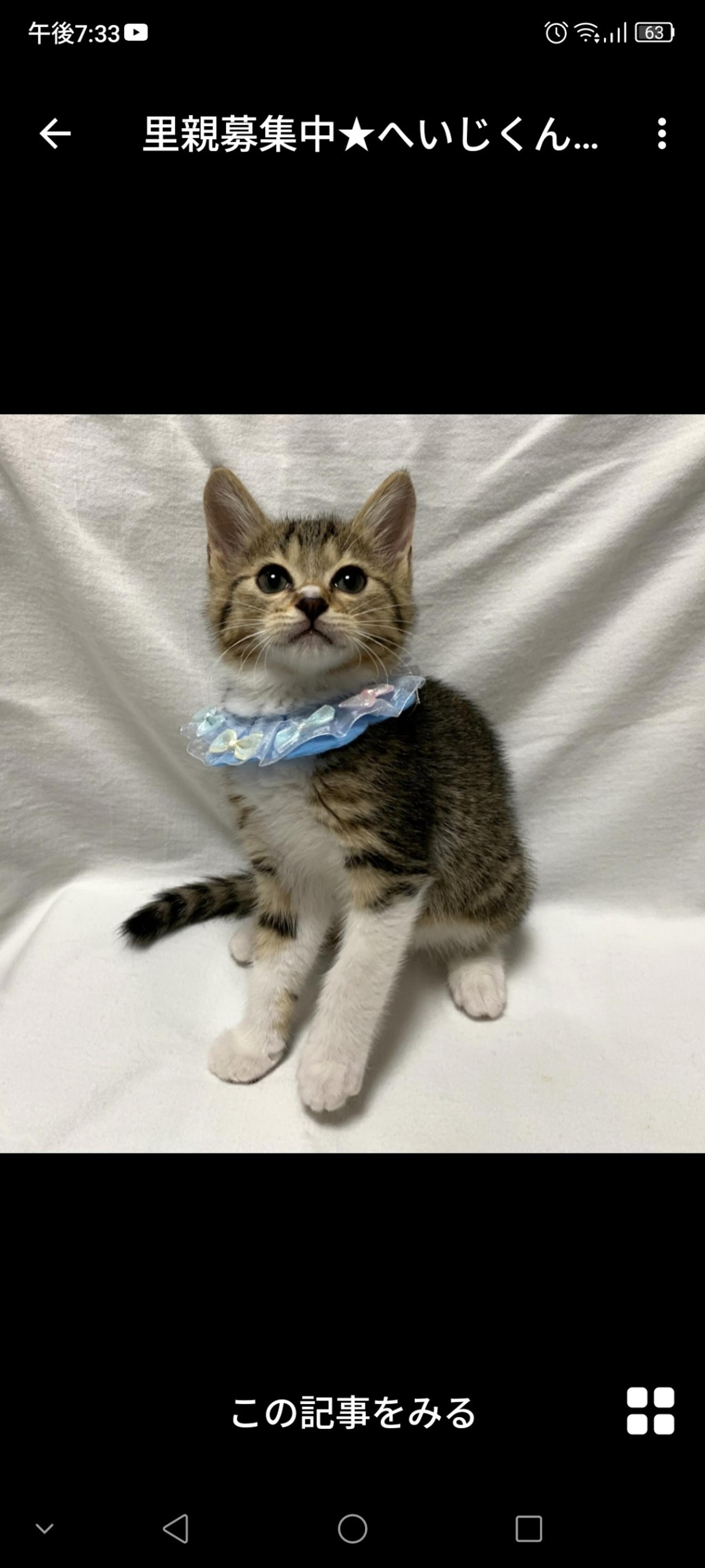 pet-image-2