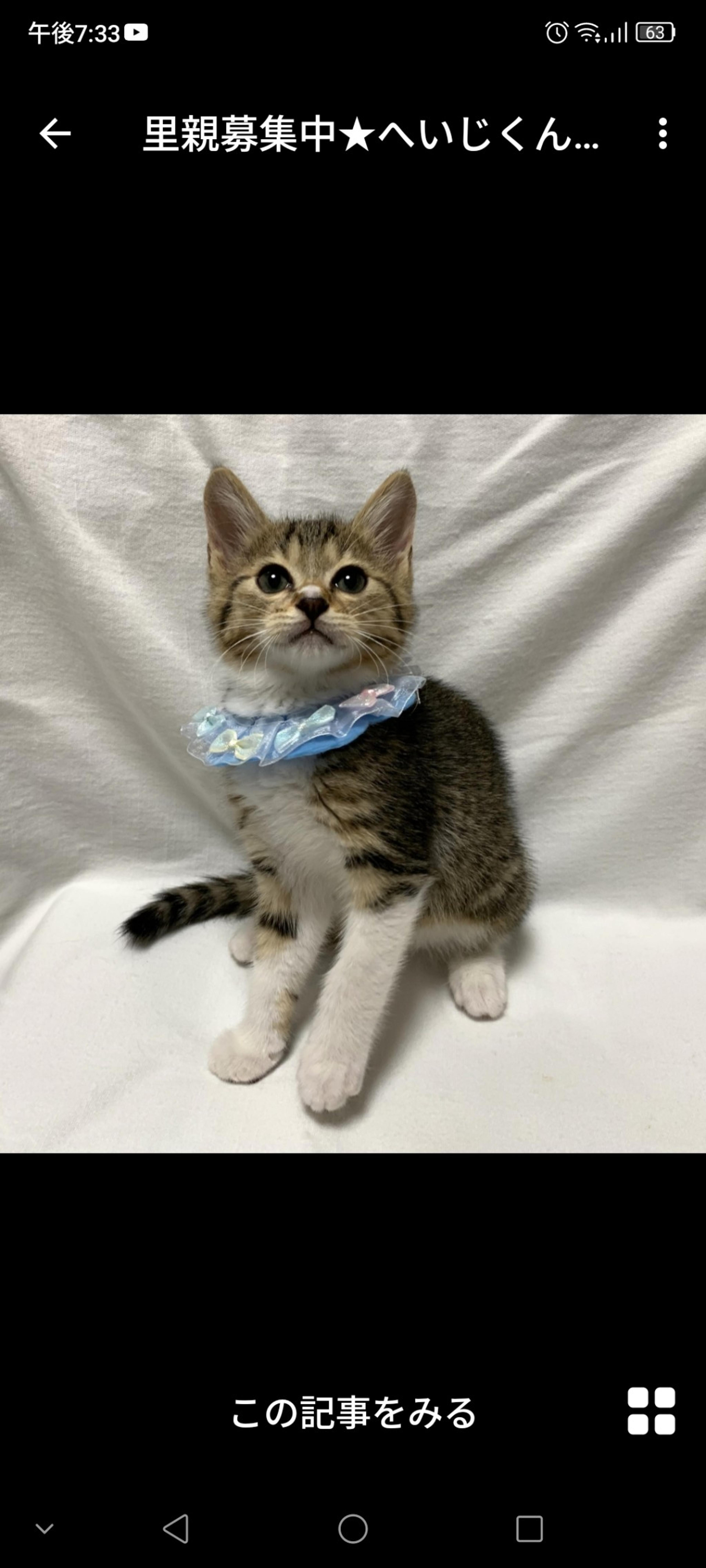 pet-image-2