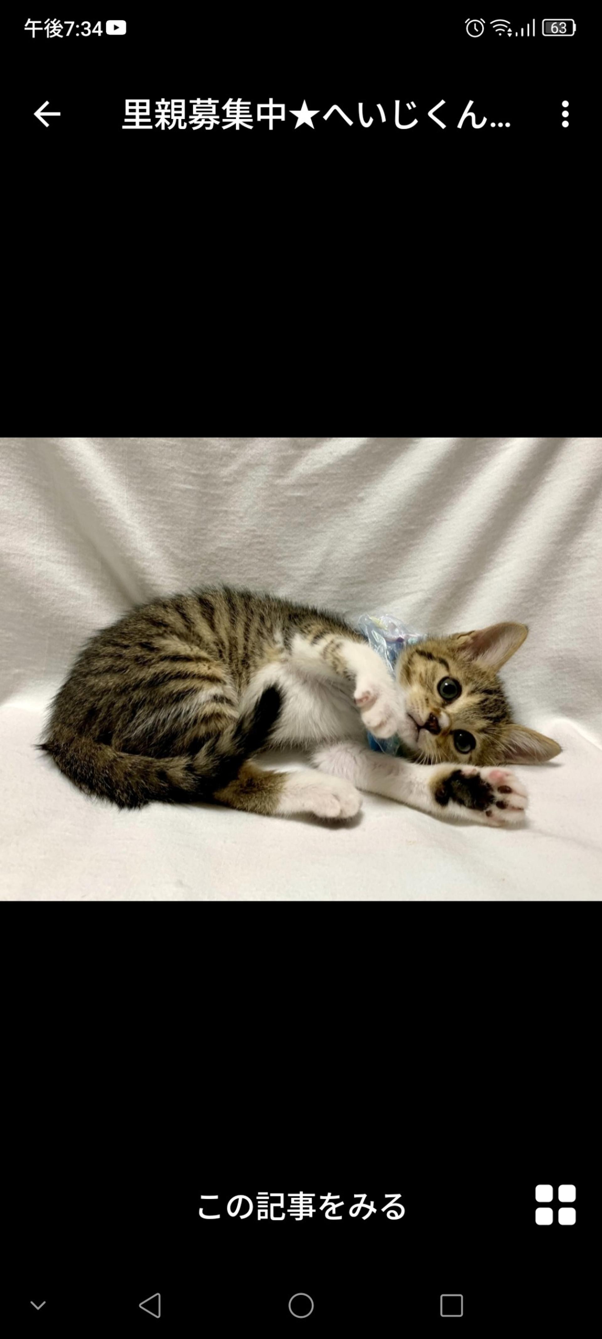 pet-image-3