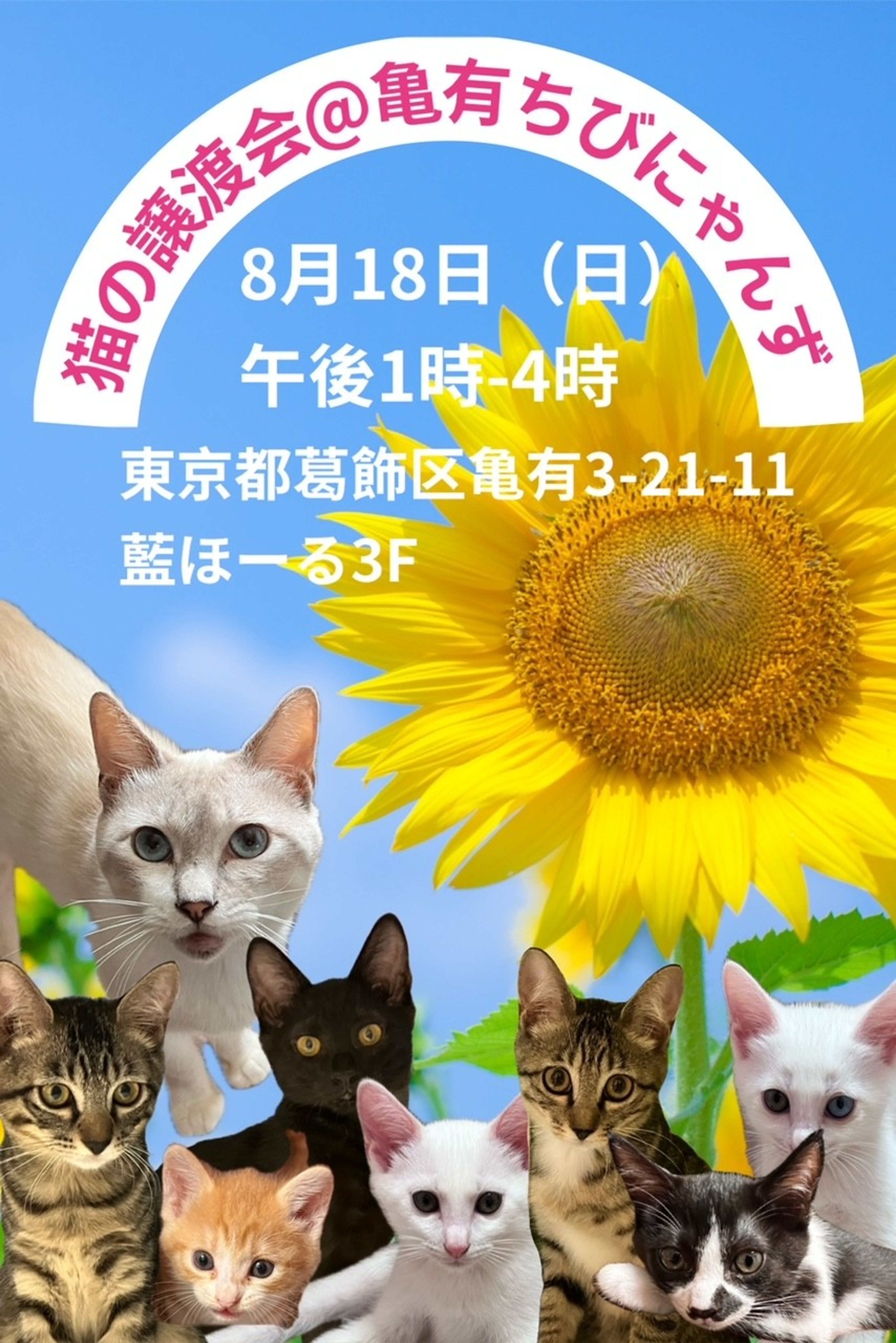 pet-image-4