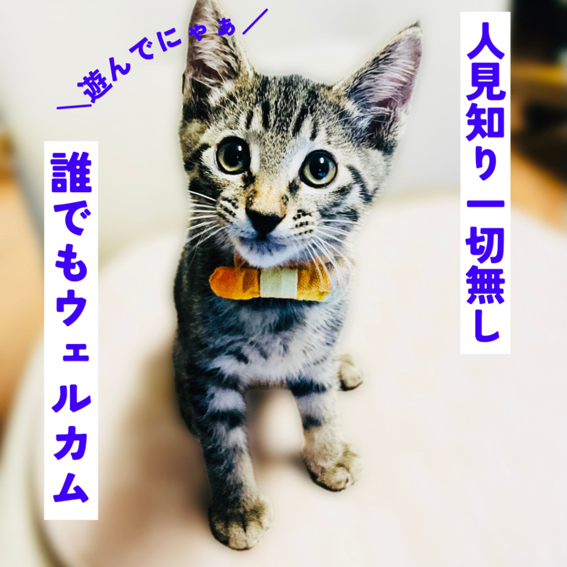 thumbnail-3