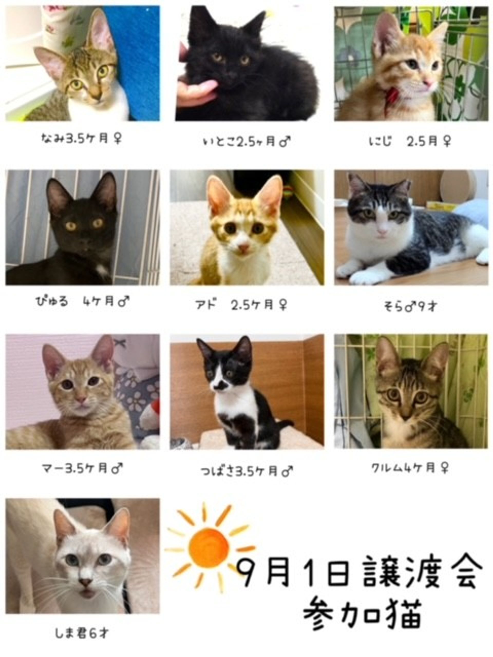 thumbnail-7