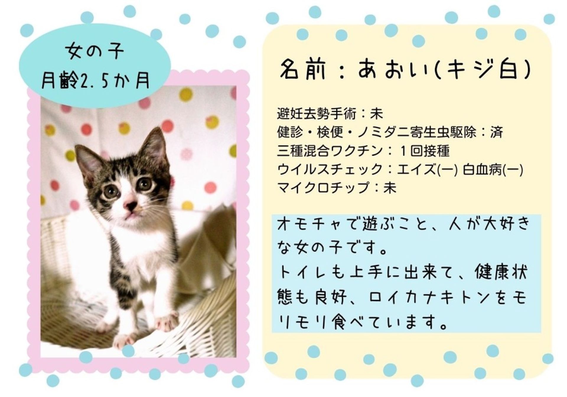 thumbnail-6