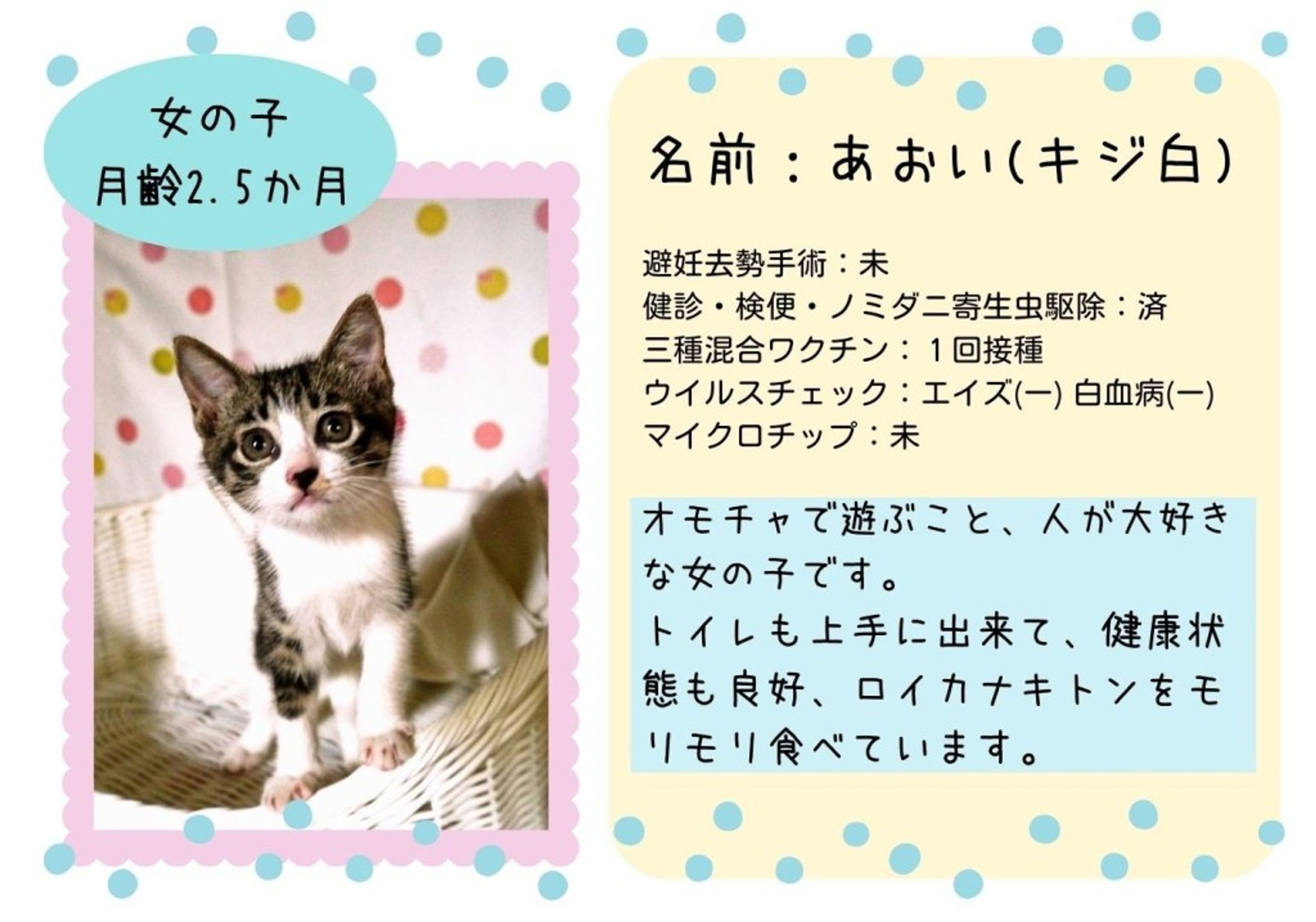 pet-image-6