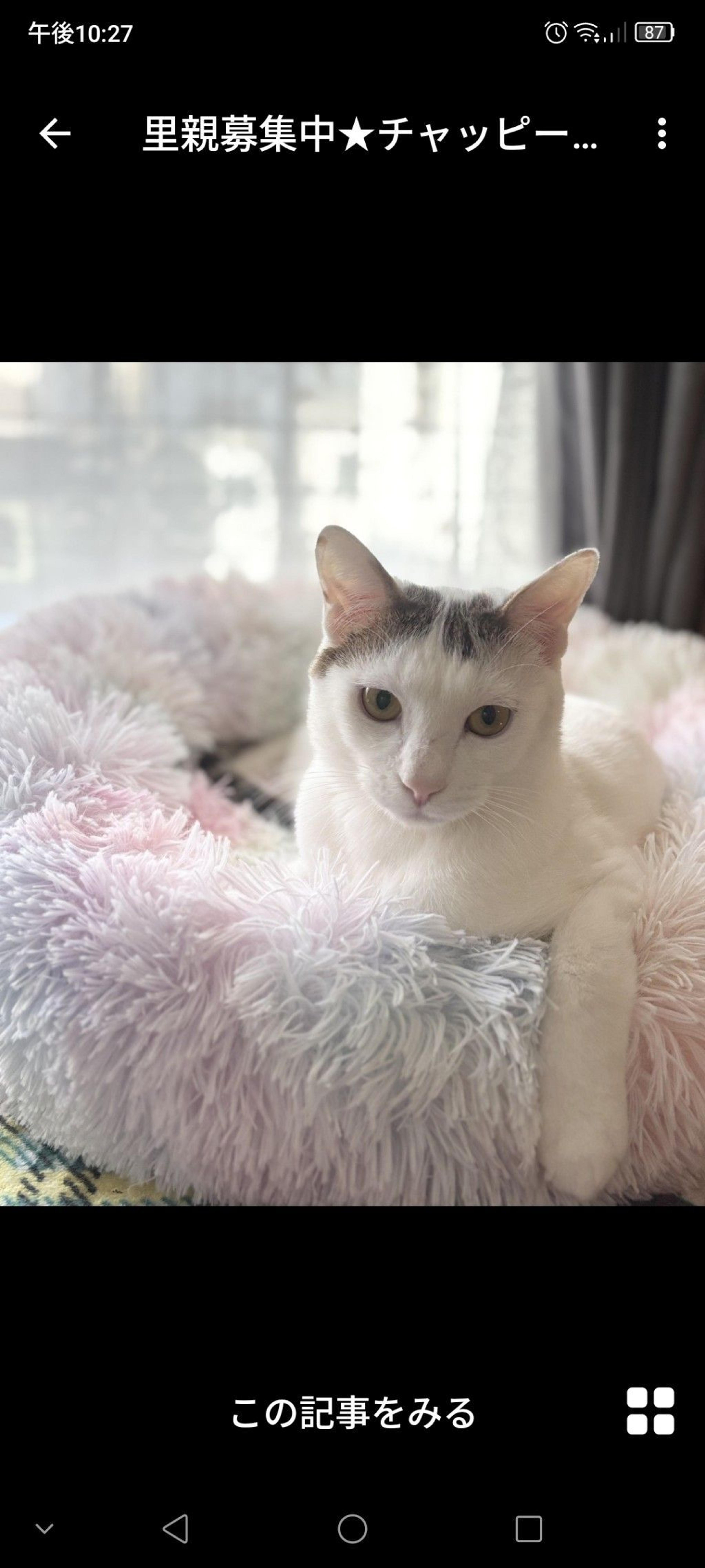 pet-image-2
