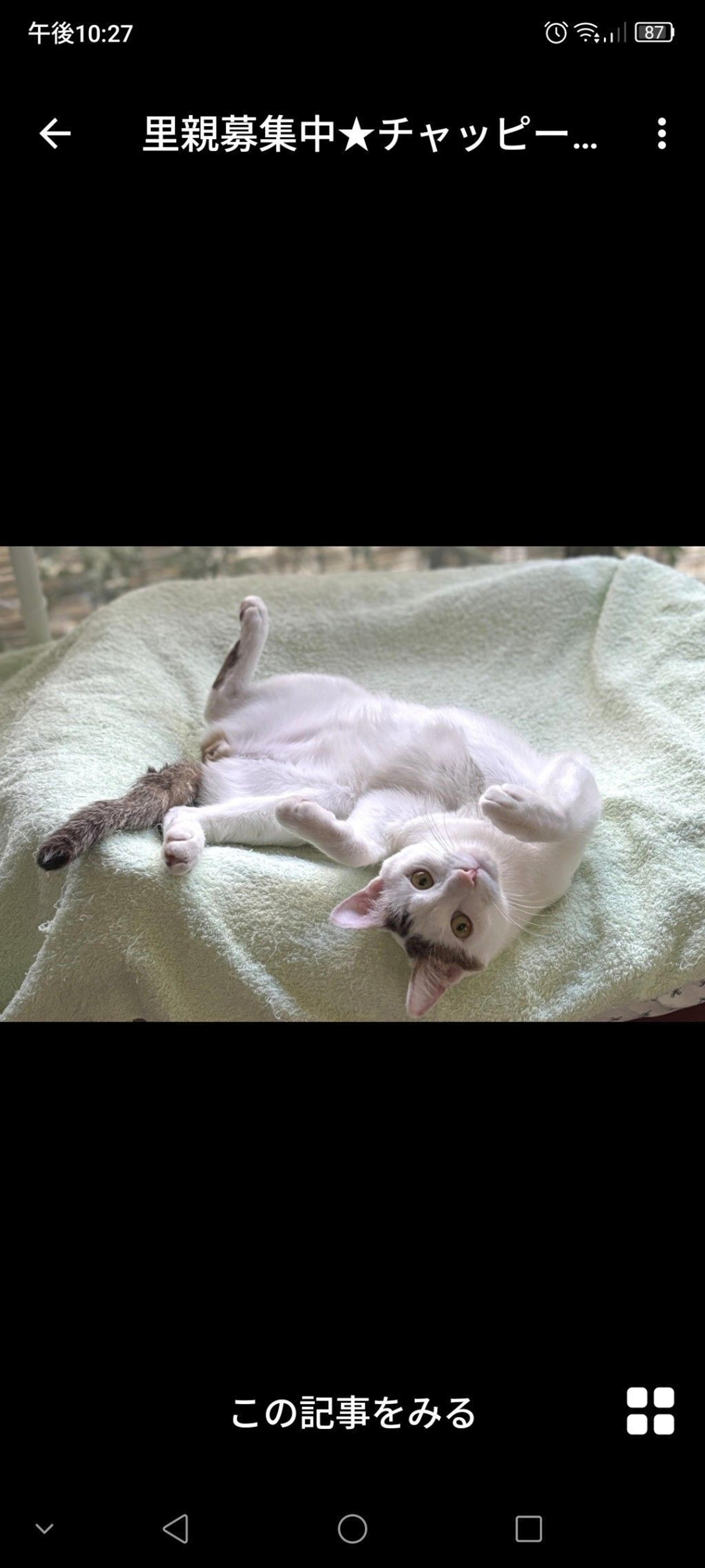 pet-image-3