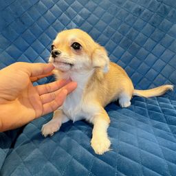thumb-5
