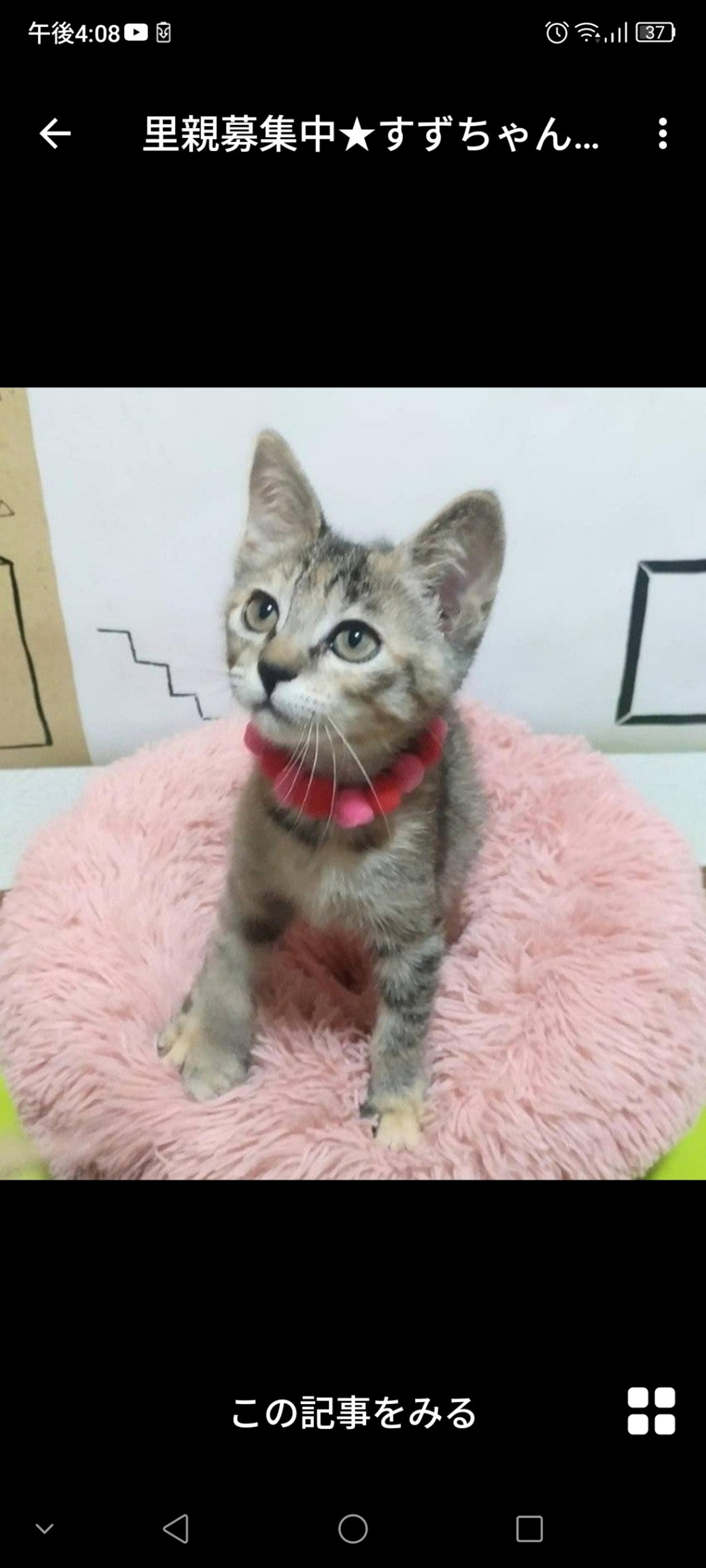 pet-image-2