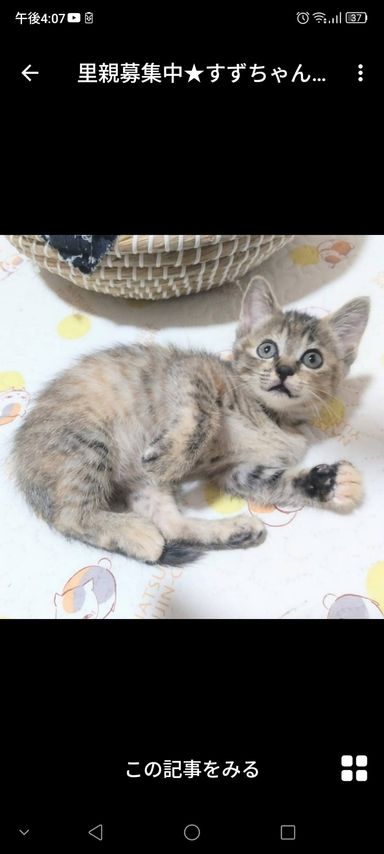 すずちゃん