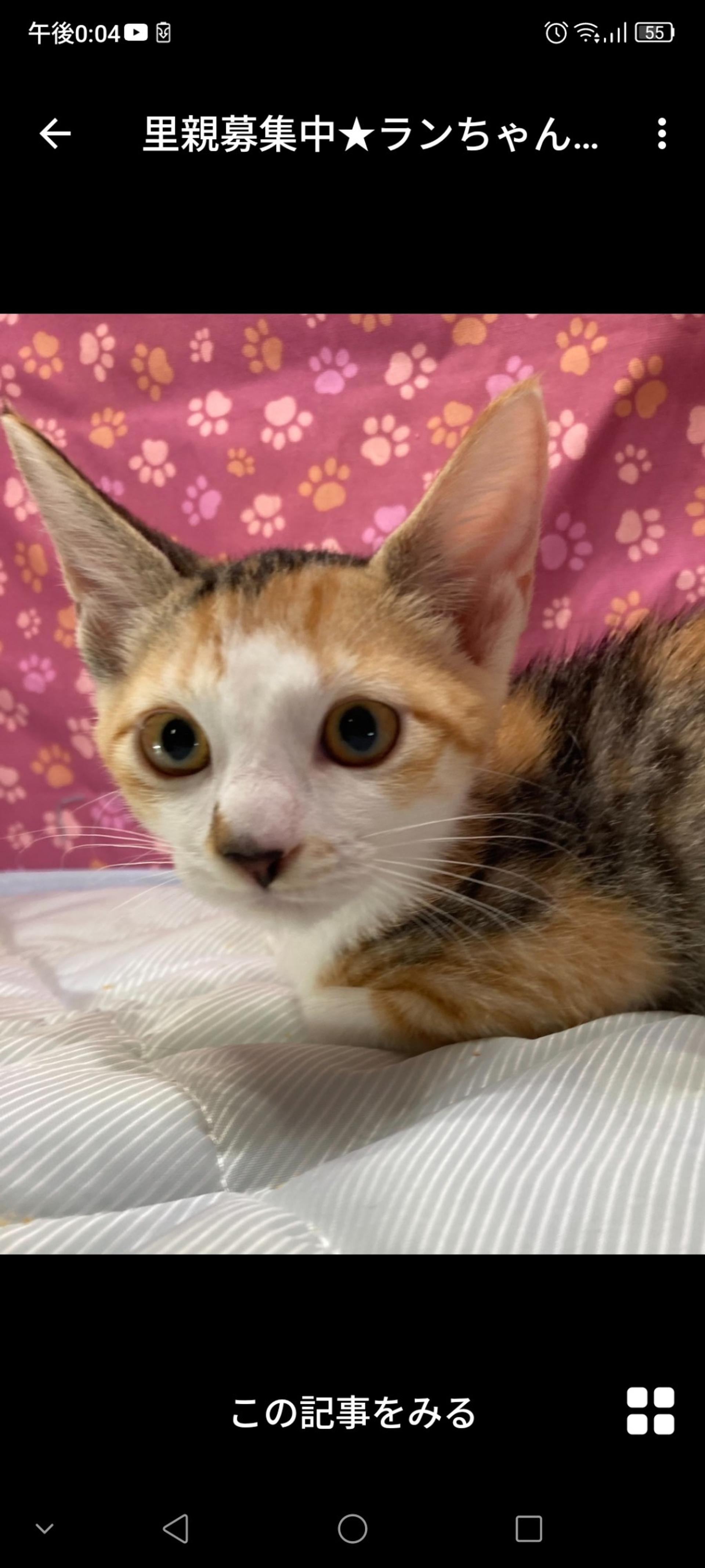 pet-image-3