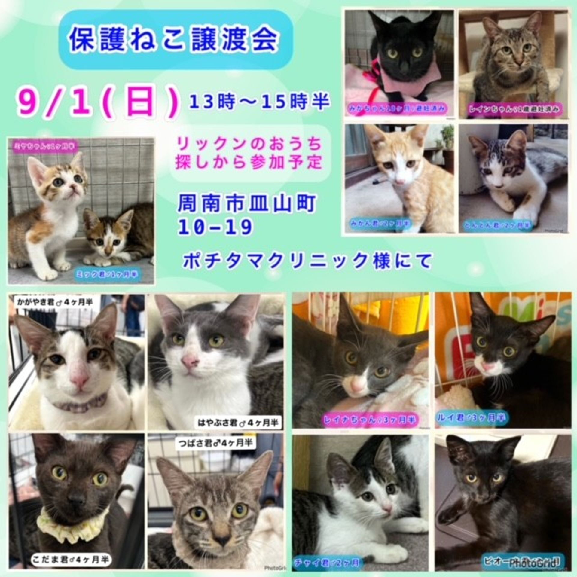 thumbnail-3