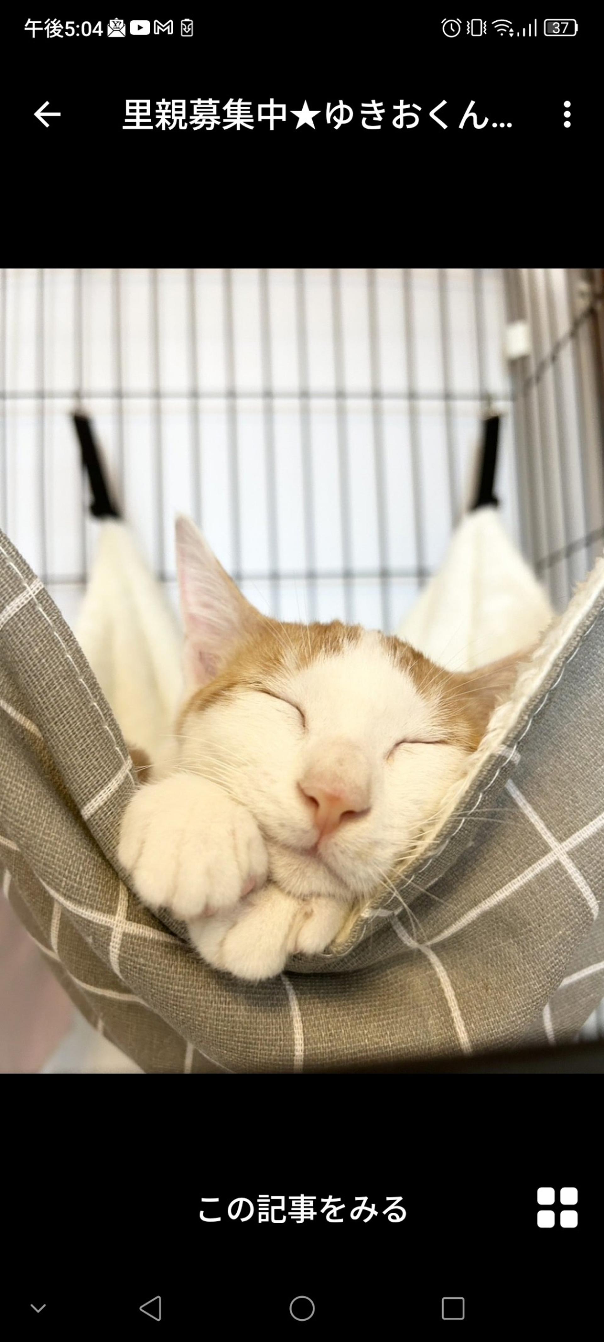 pet-image-3