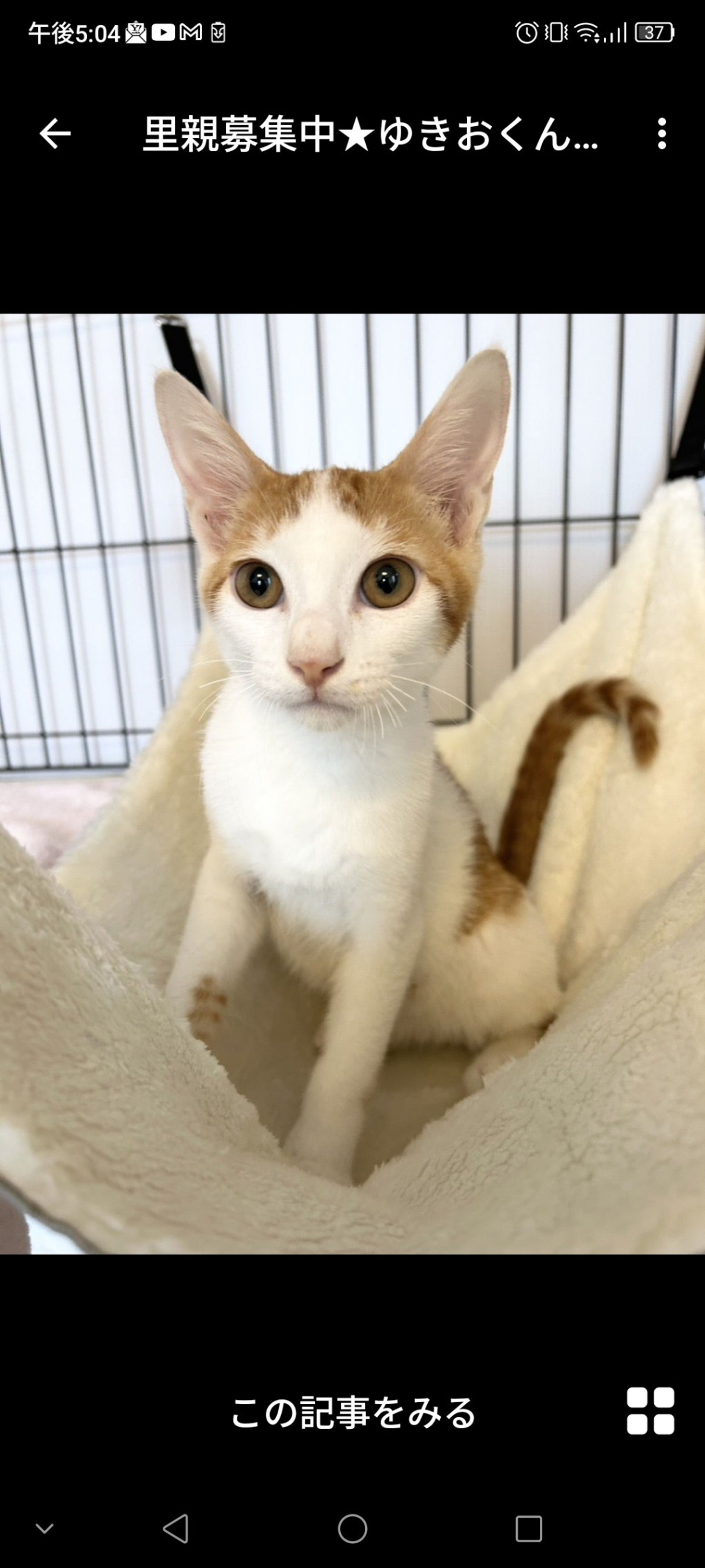 thumbnail-2