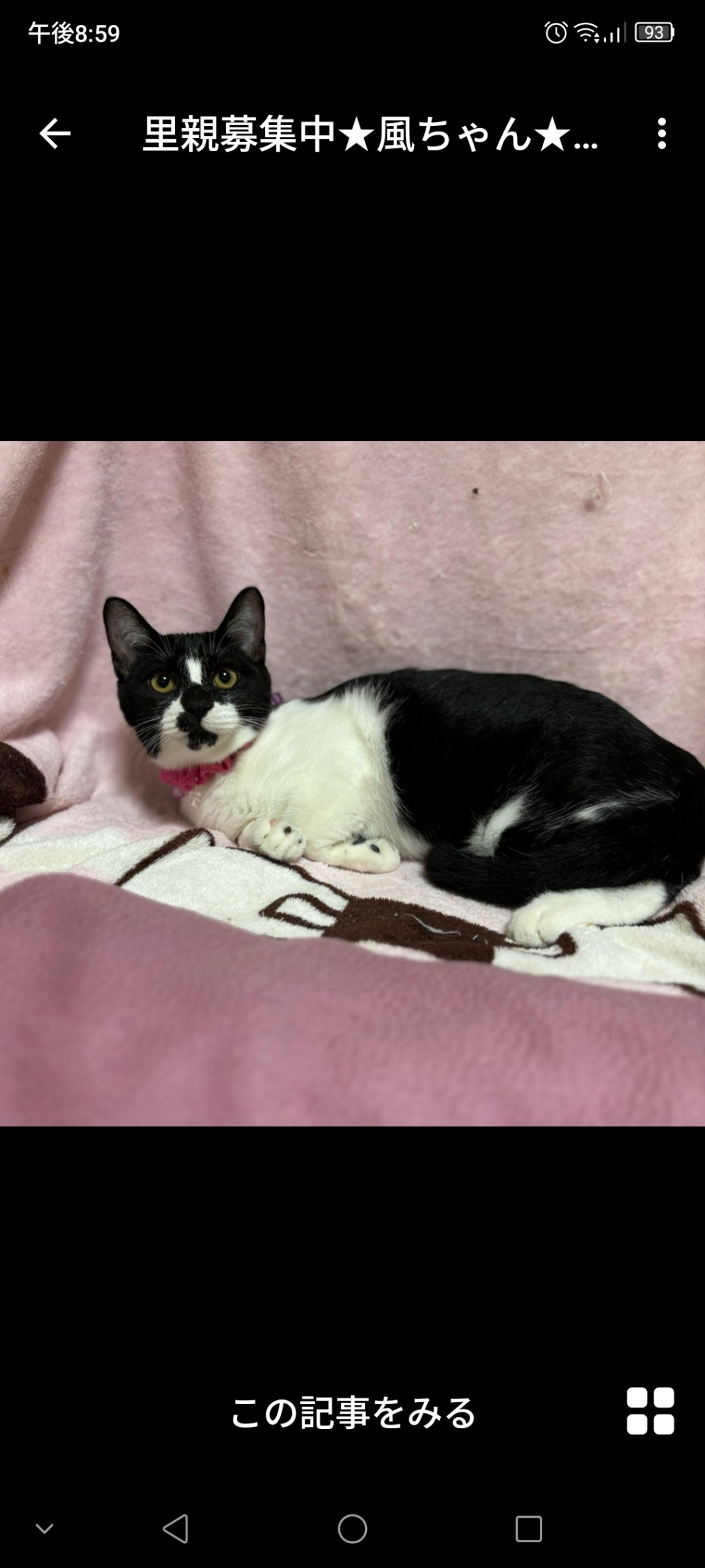 pet-image-2