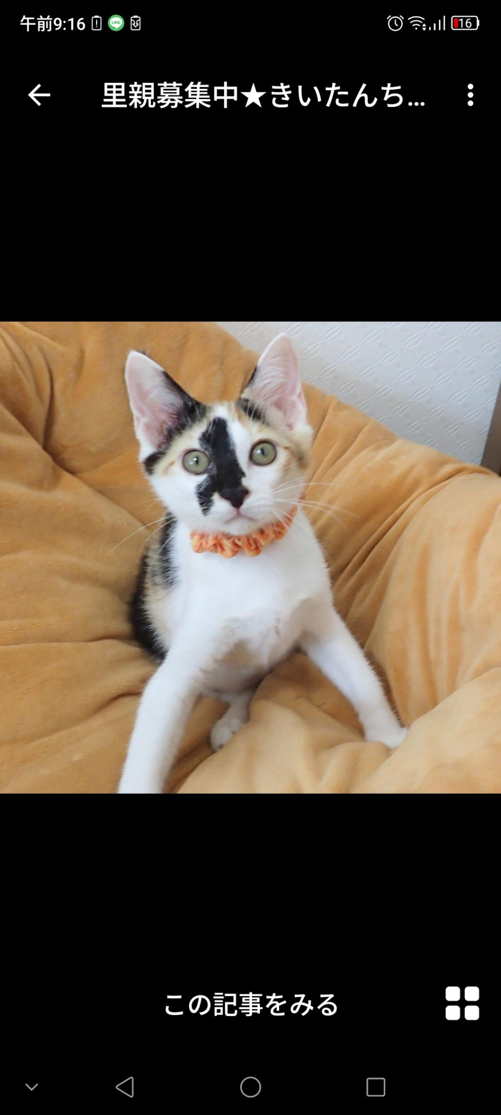 pet-image-3