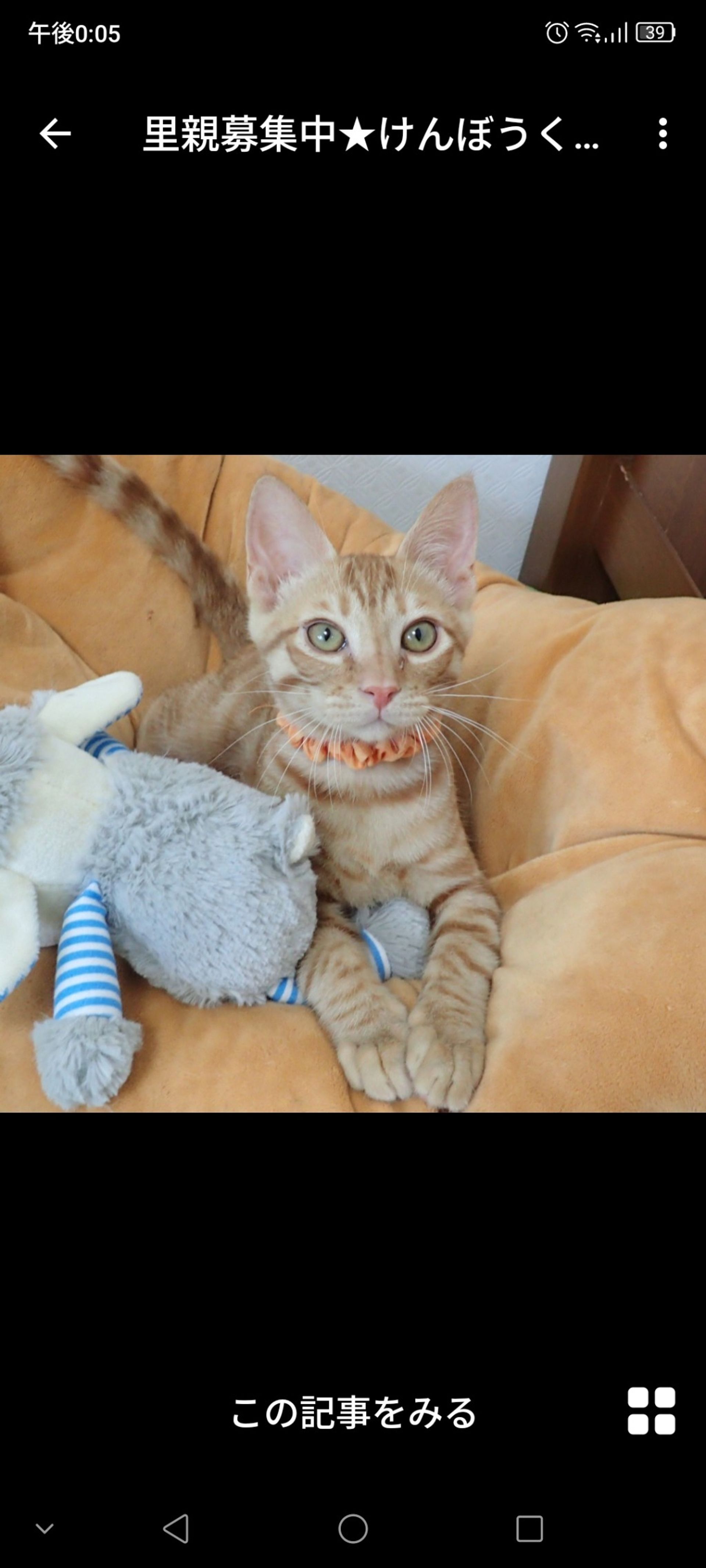 thumbnail-3