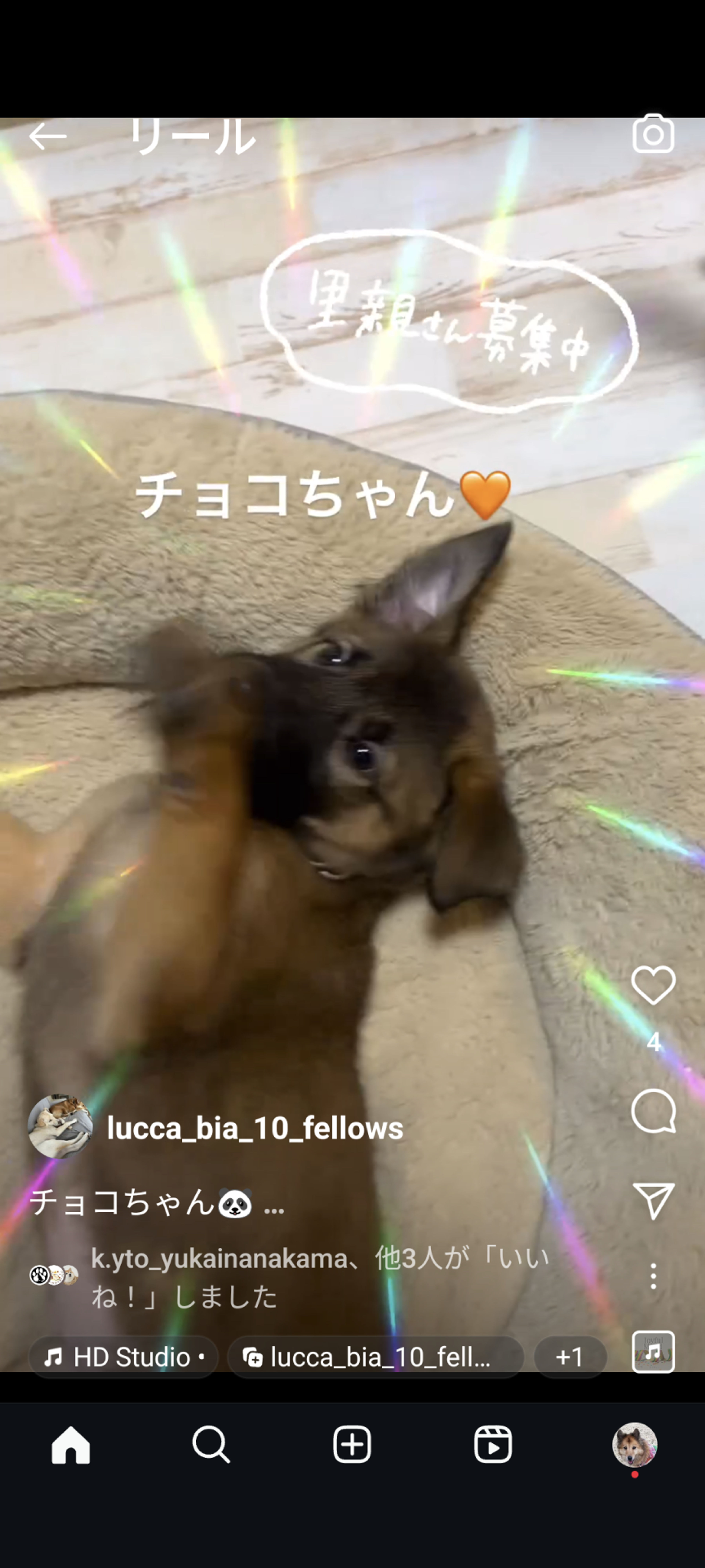 pet-image-2
