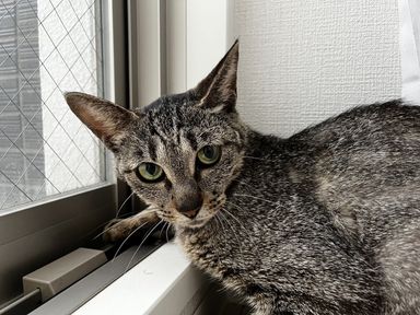 あかりの写真