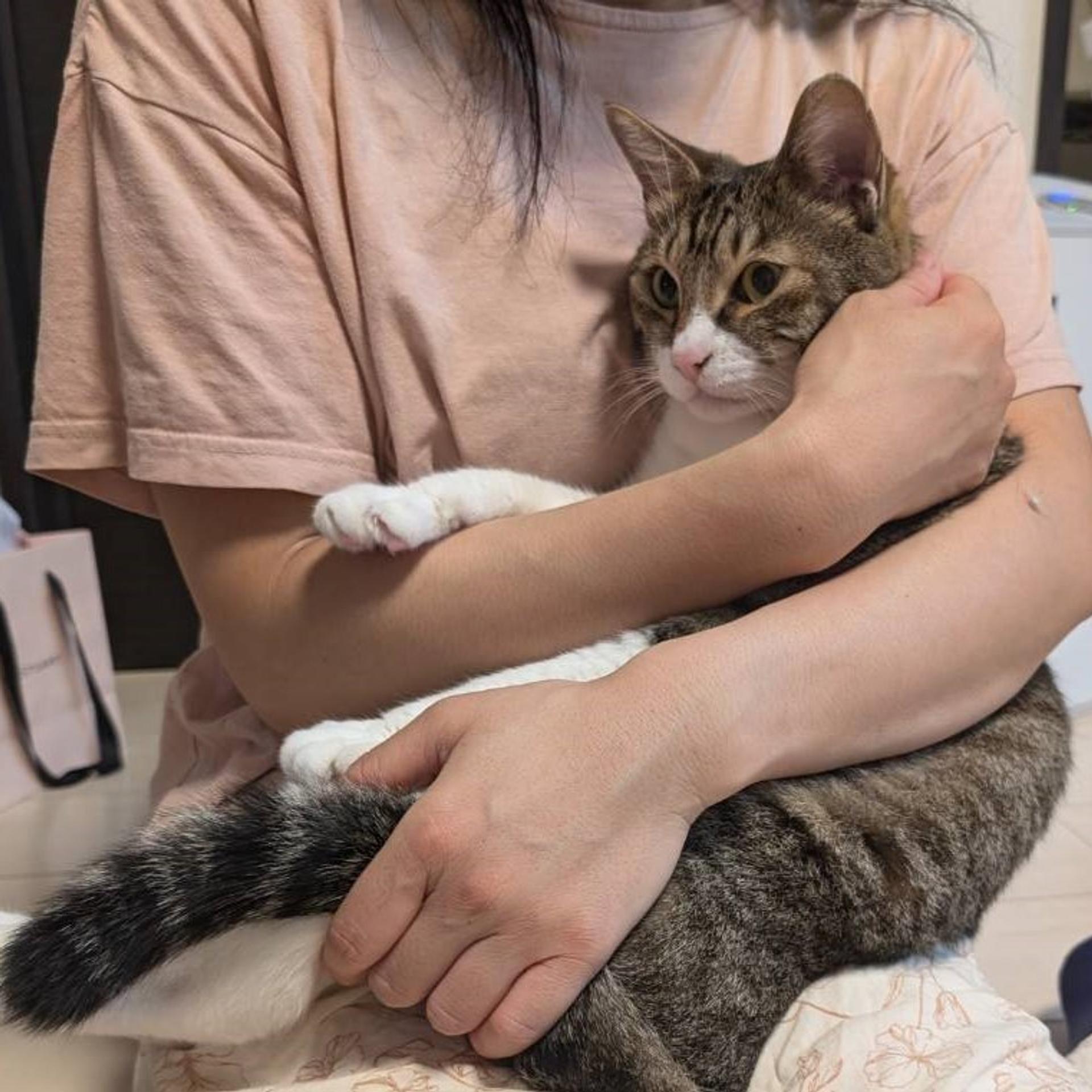 pet-image-2