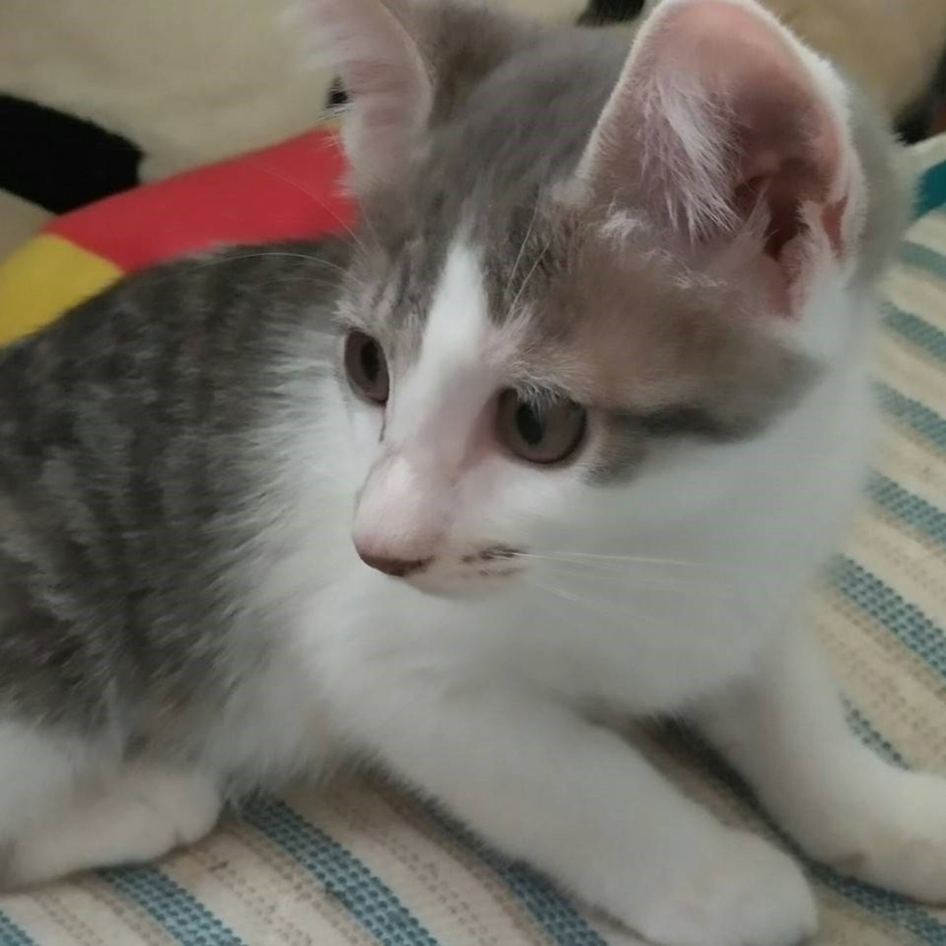 thumbnail-4