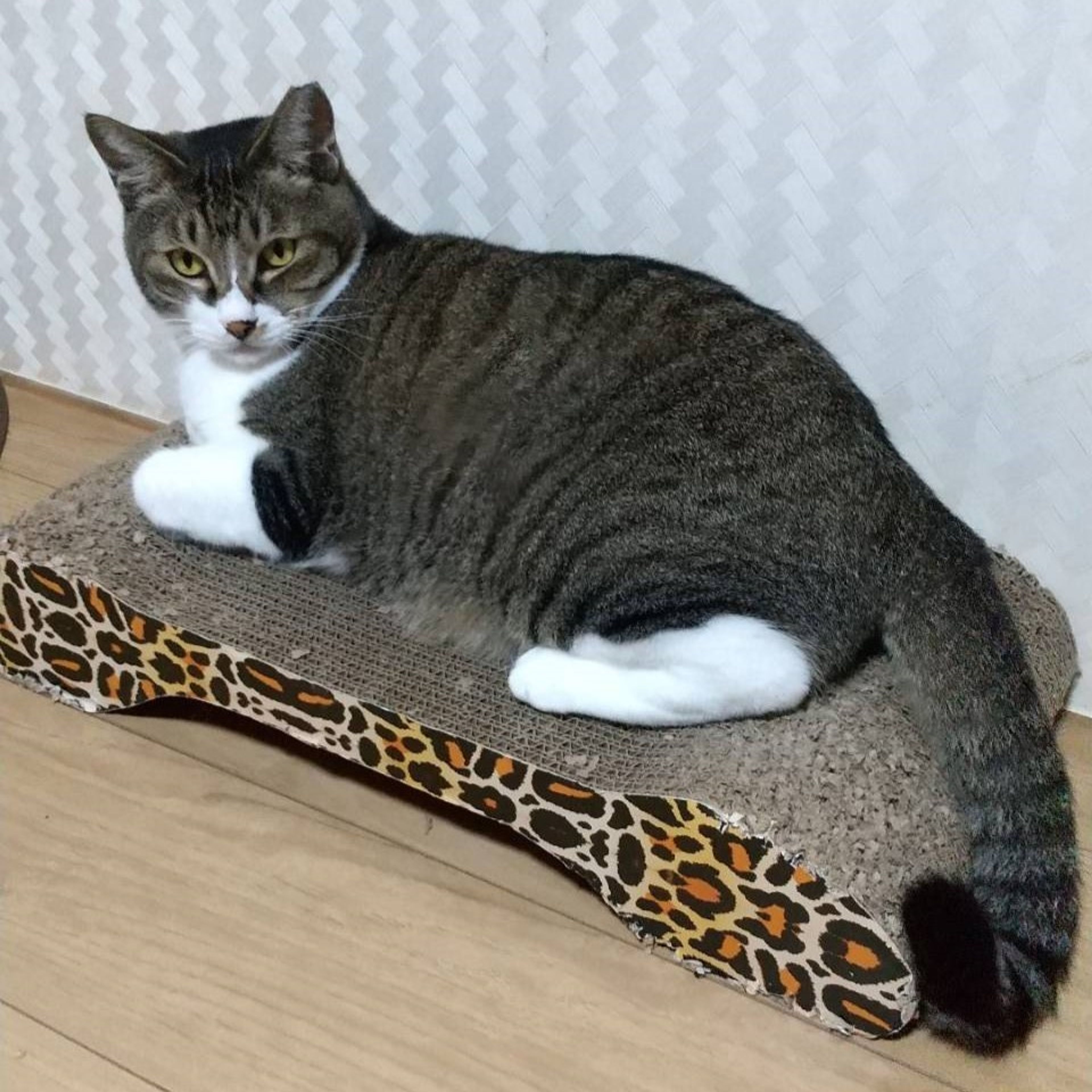 image-5
