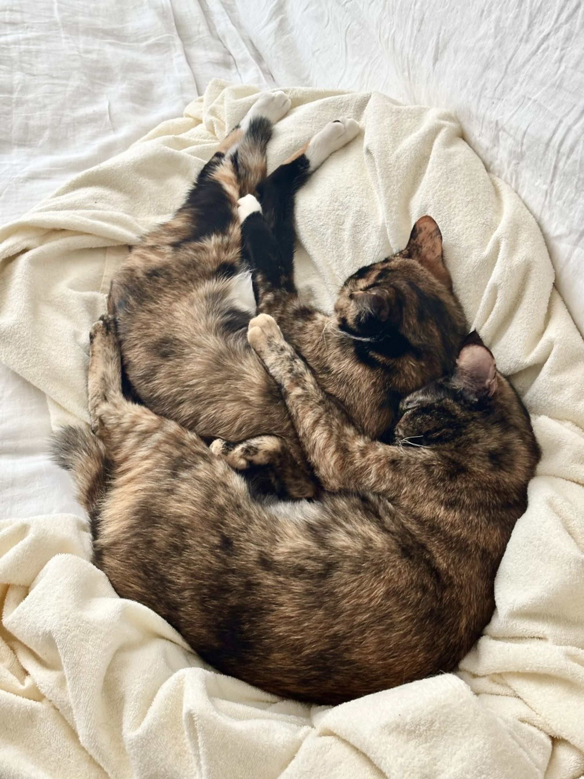 thumbnail-8