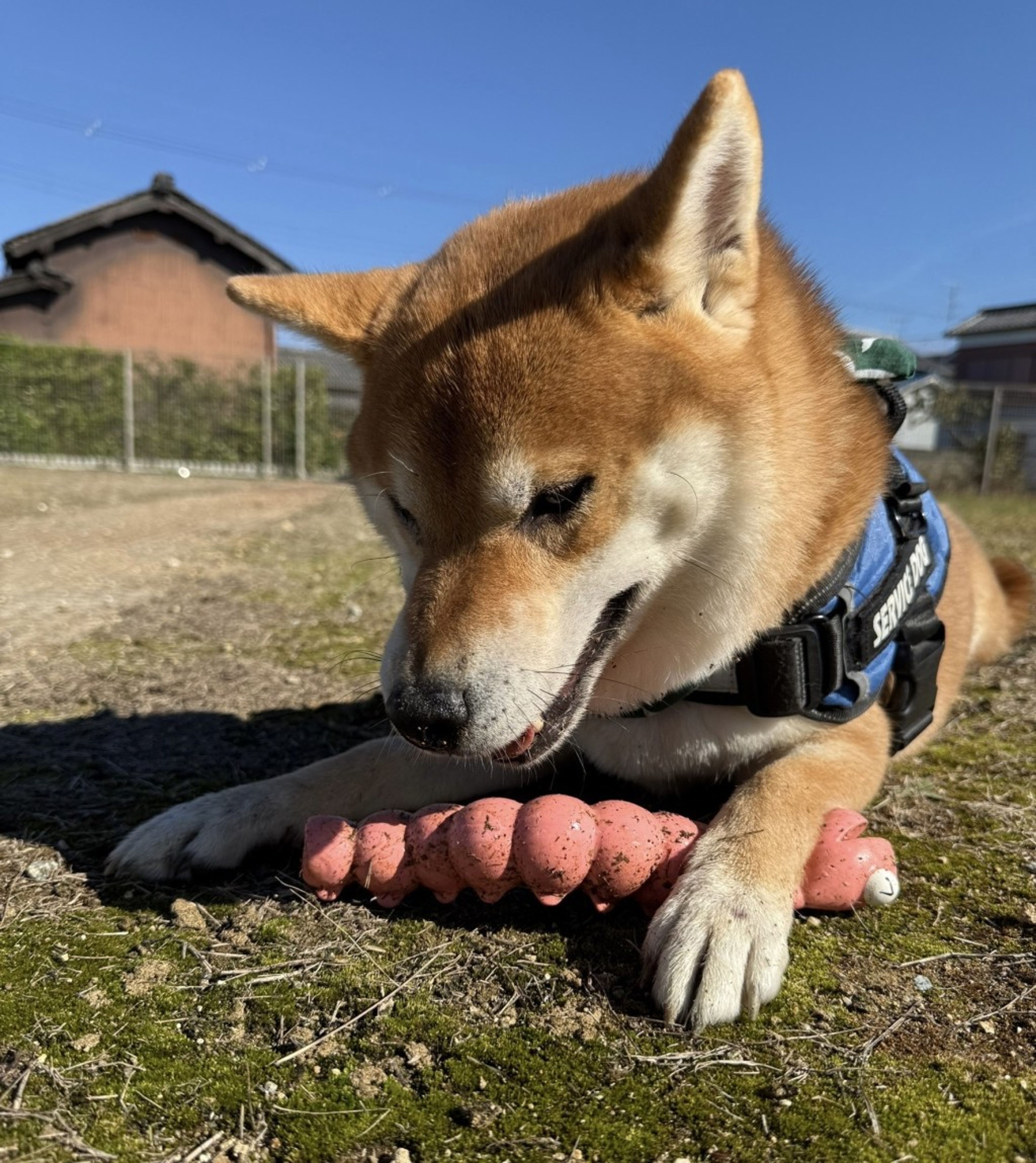 image-9
