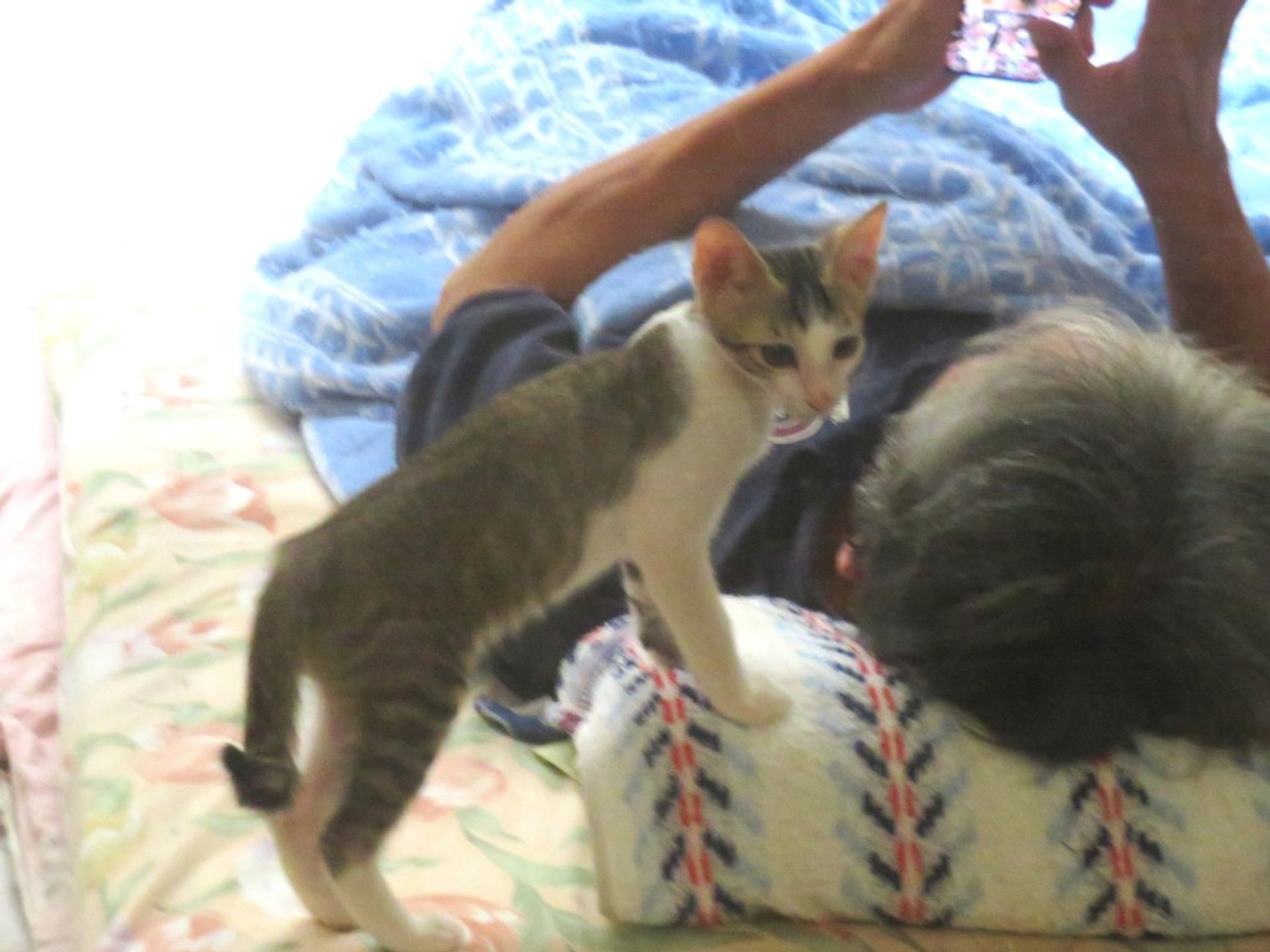 thumbnail-5