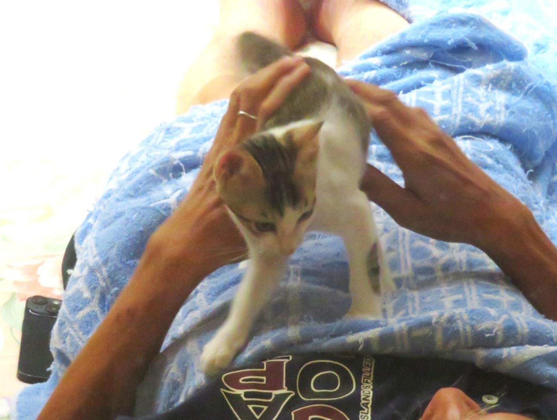 pet-image-6