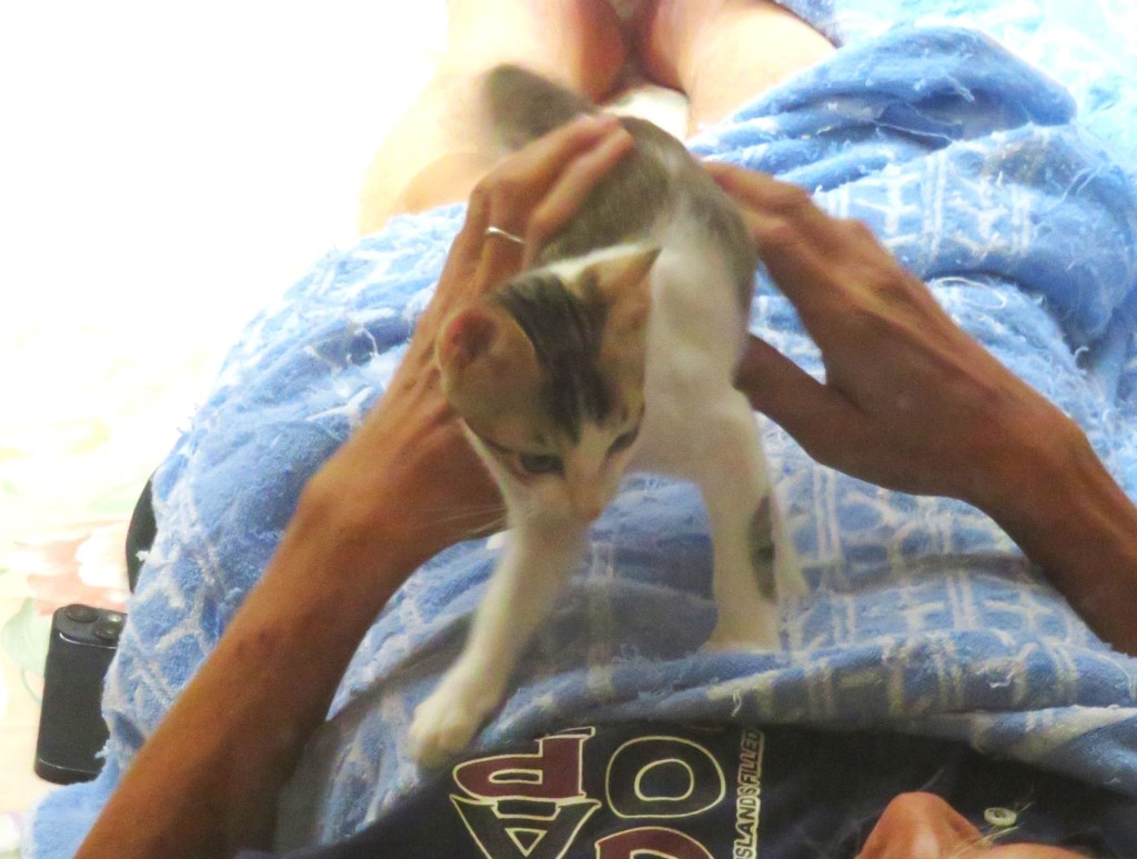 pet-image-6