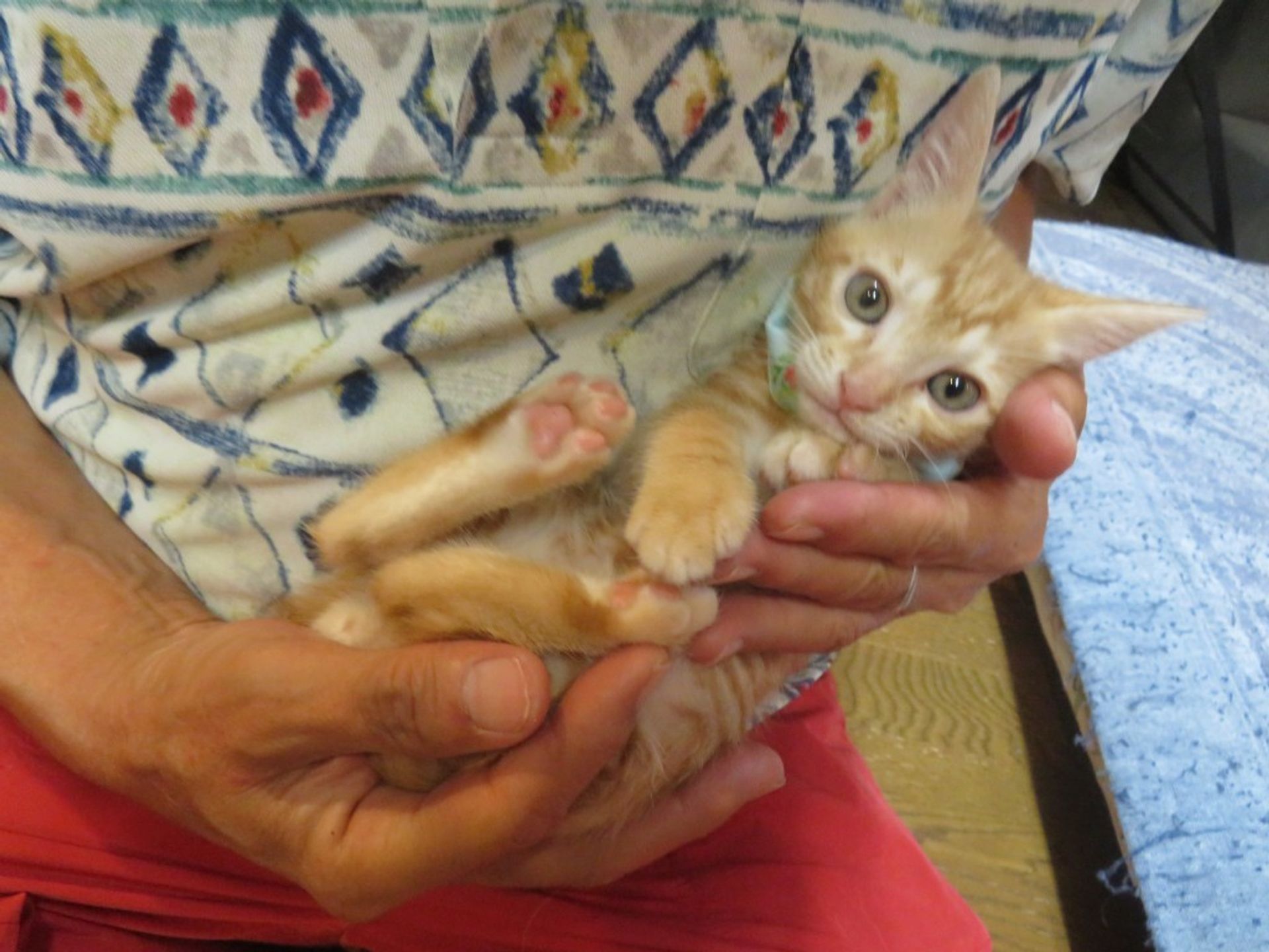 thumbnail-2