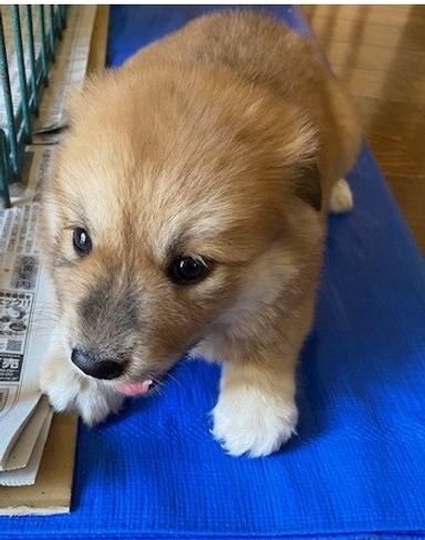 もこの写真