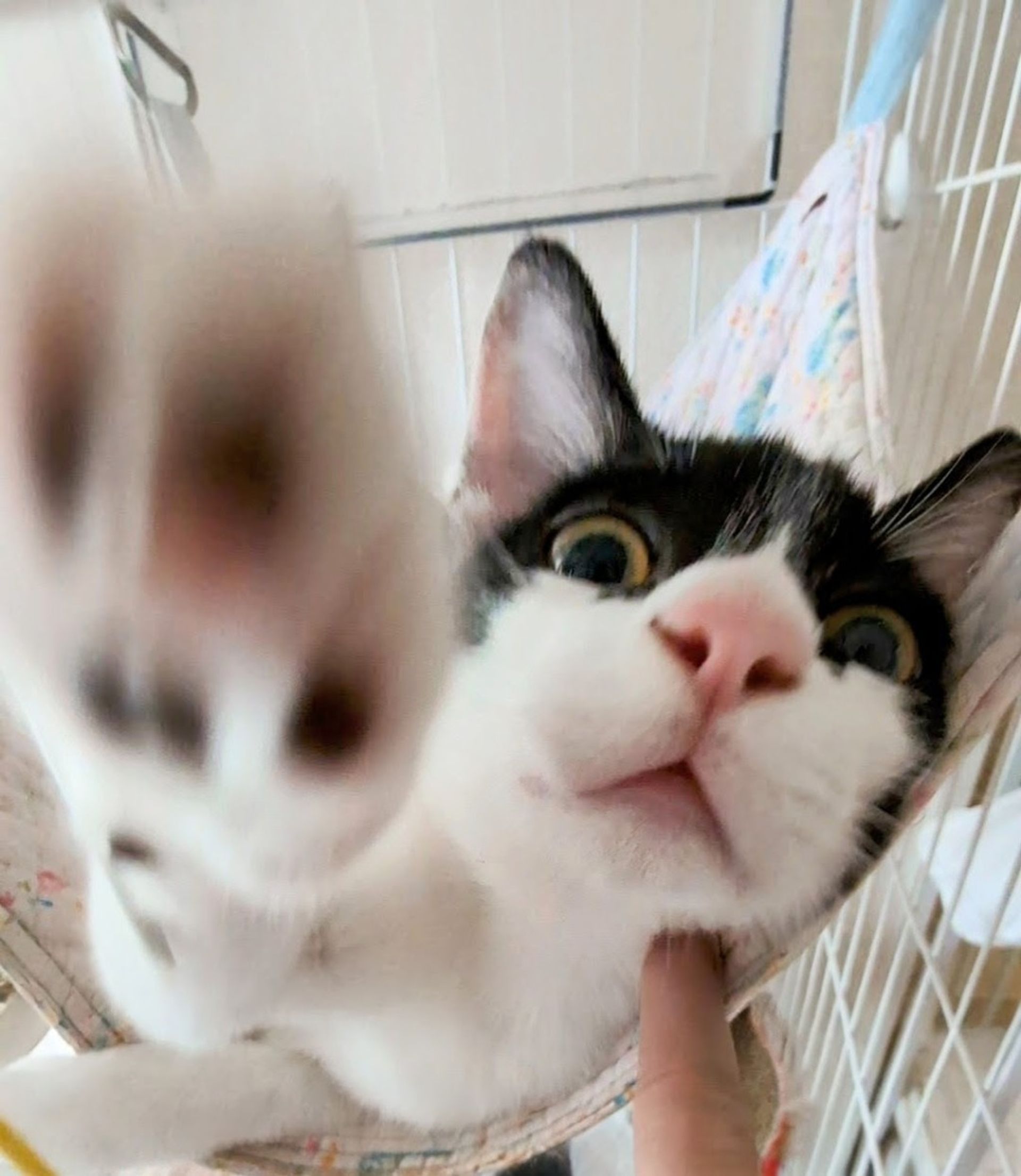 thumbnail-8