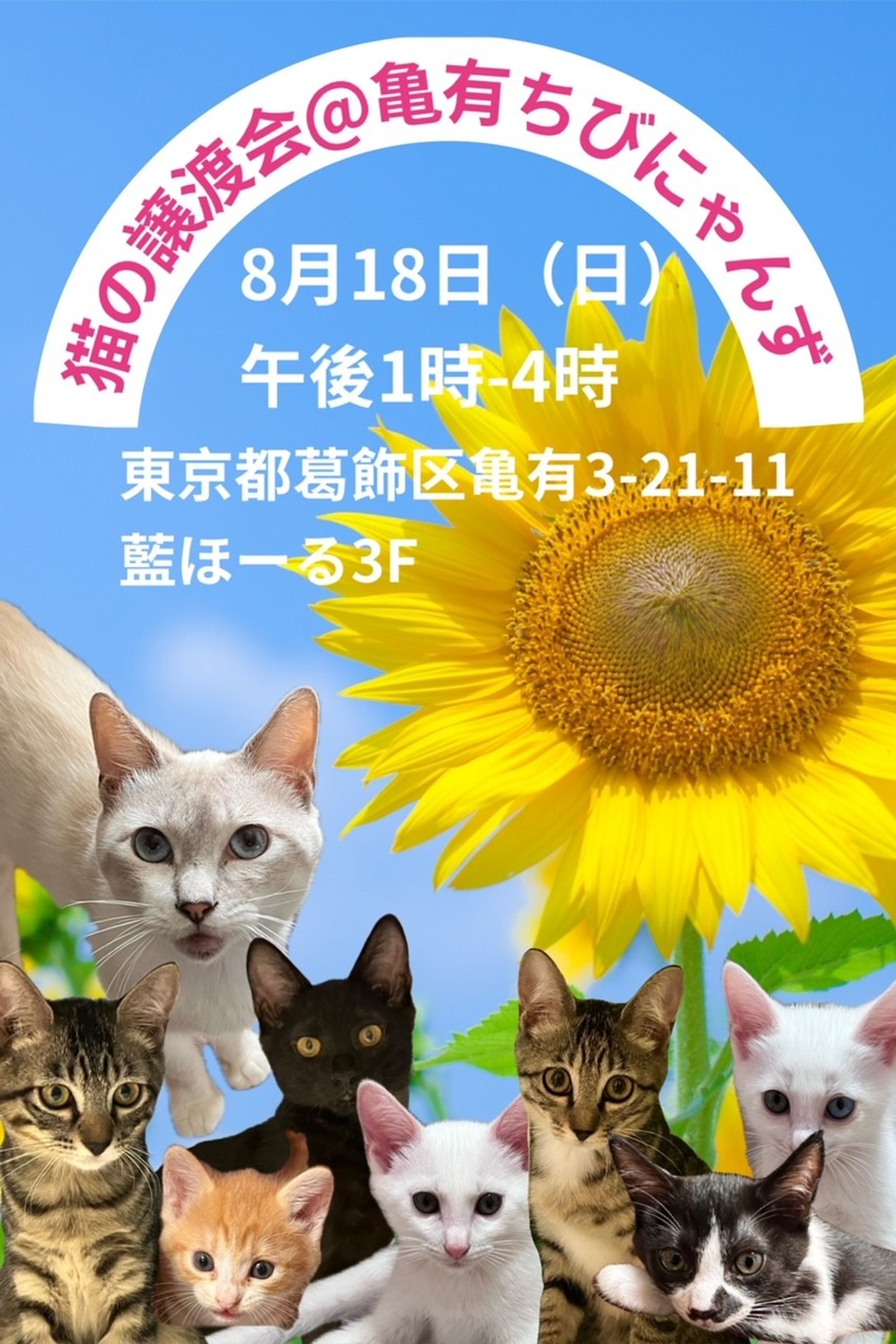 thumbnail-5