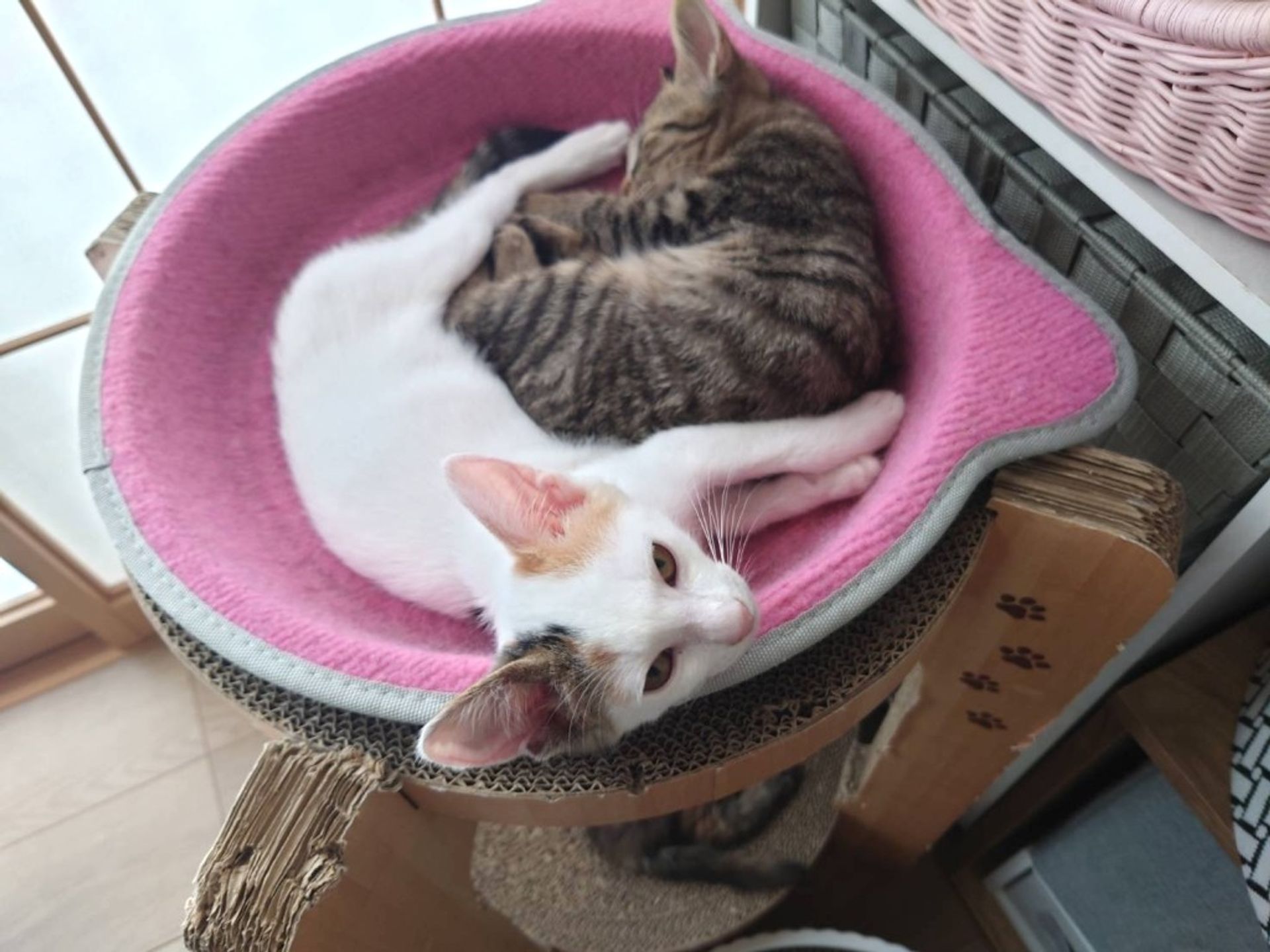 thumbnail-4