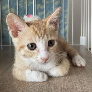 うみの写真
