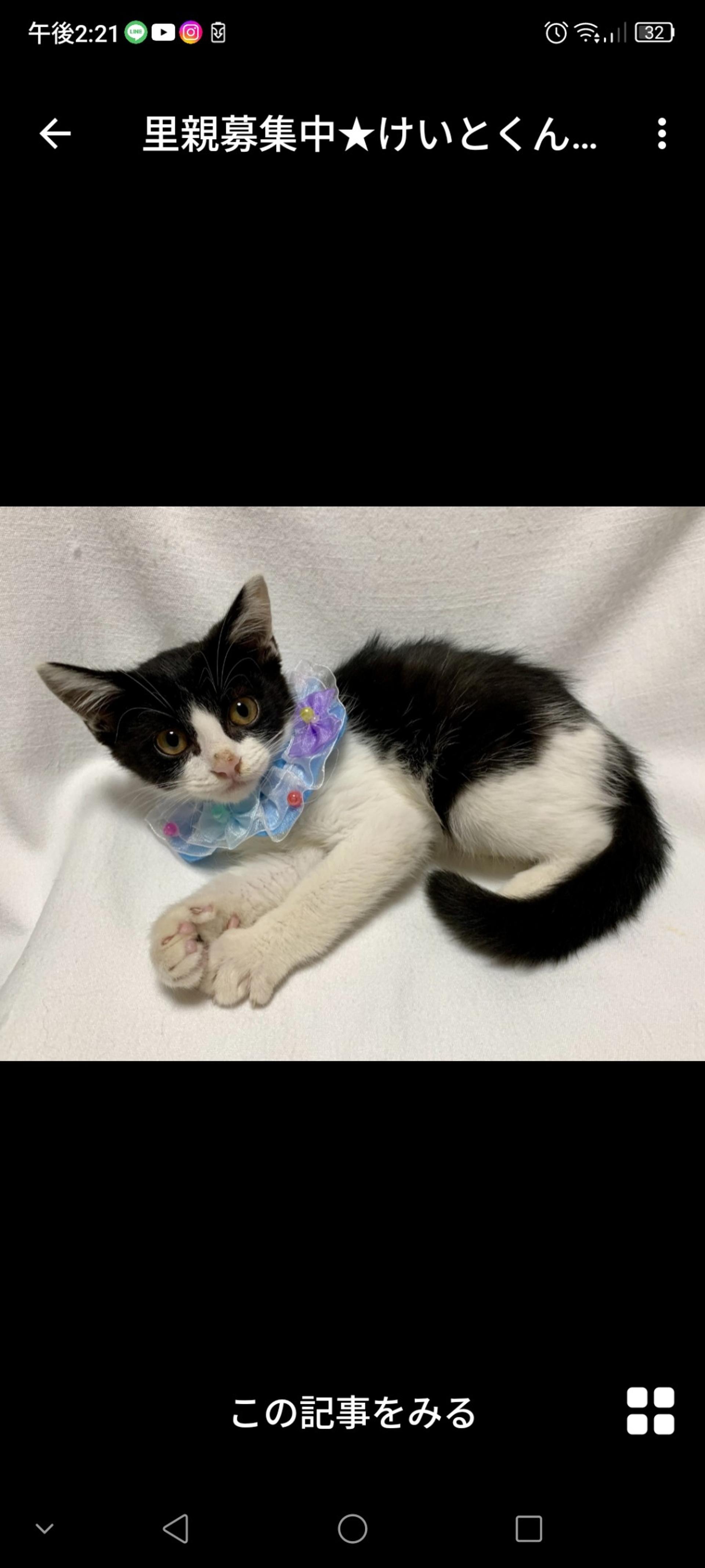 pet-image-3
