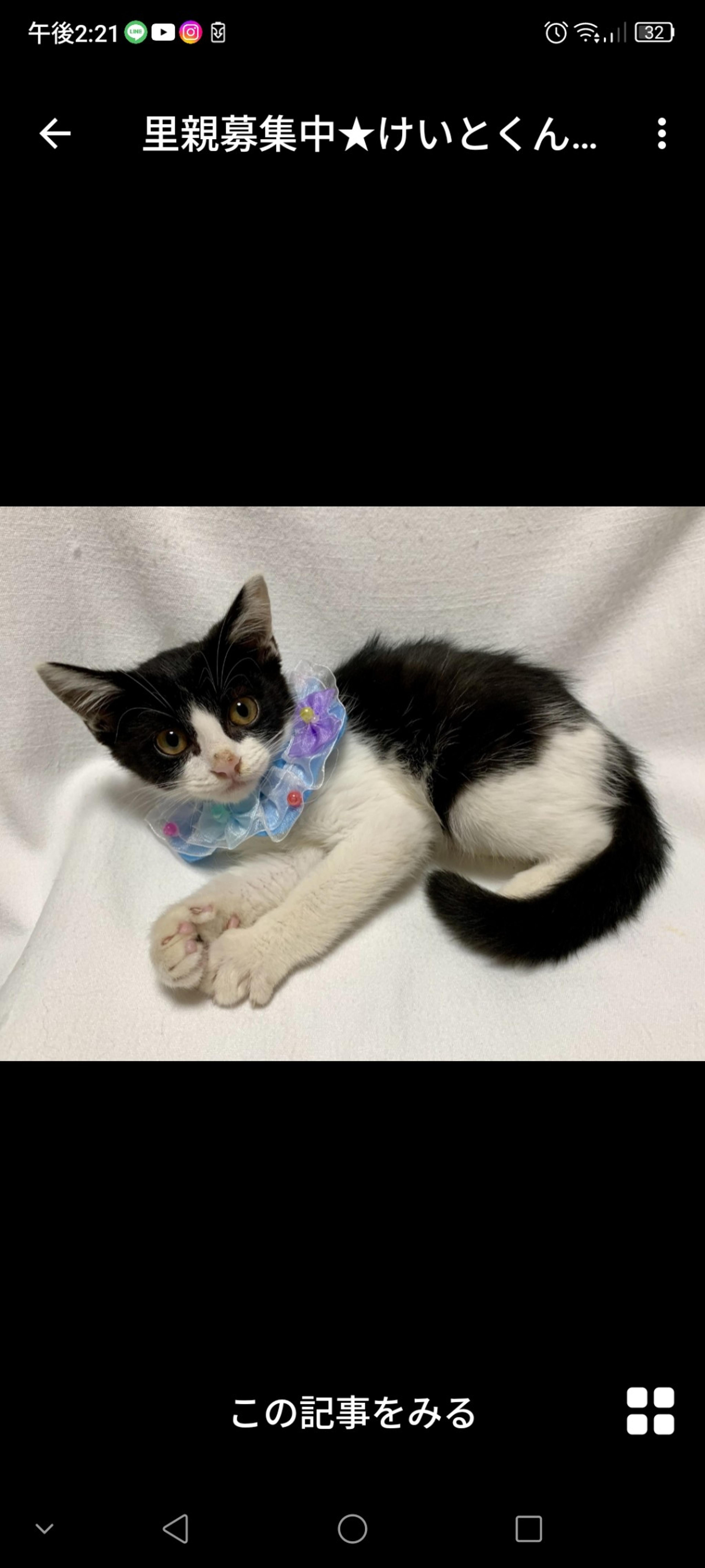 pet-image-3