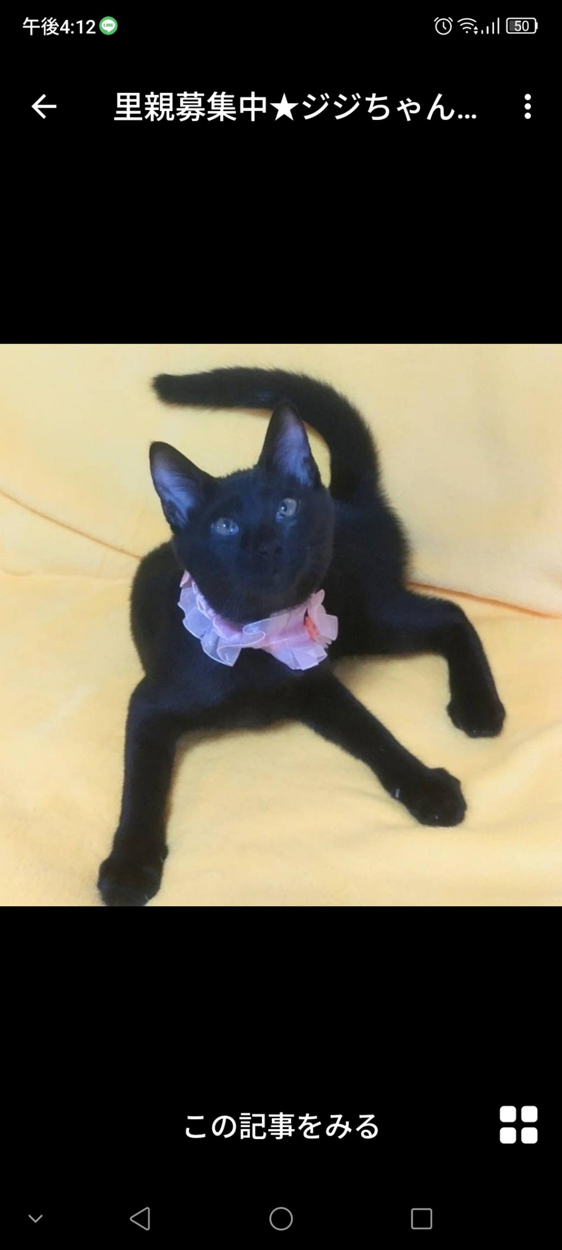 pet-image-4