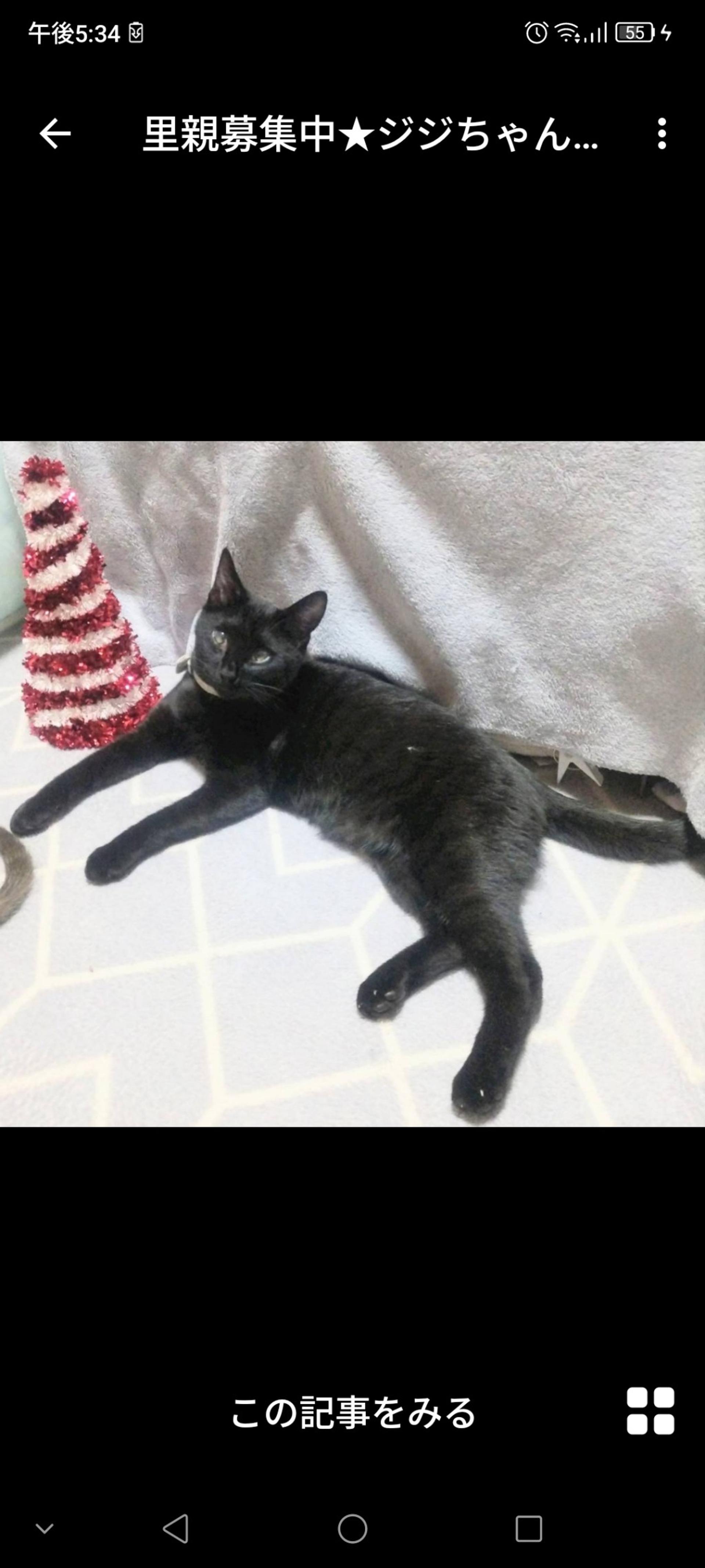 pet-image-3