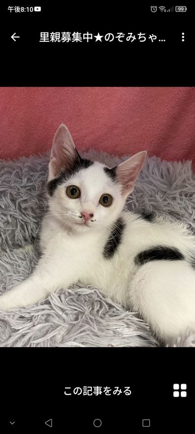 のぞみちゃん